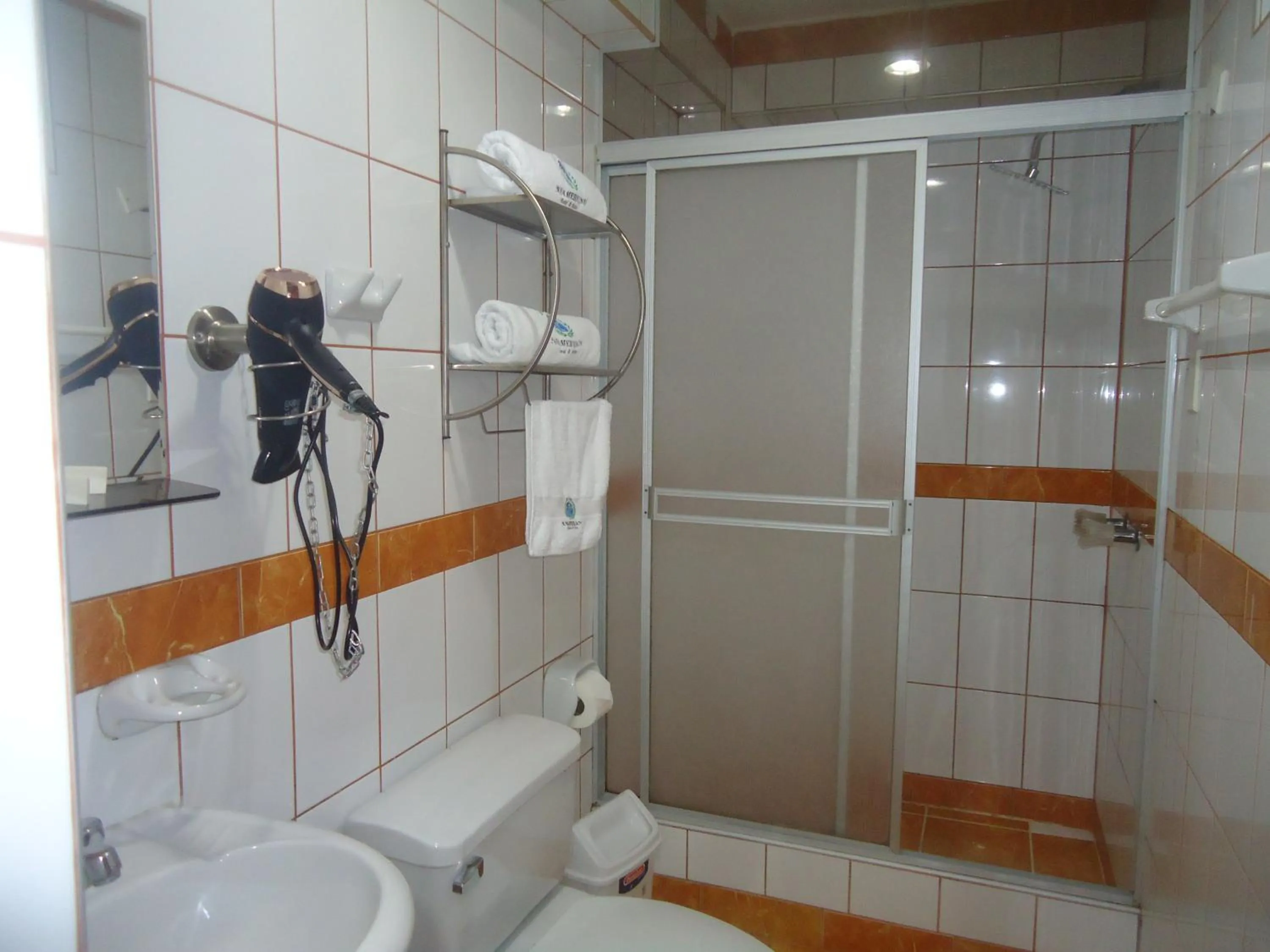 Shower in Hotel Panamericano