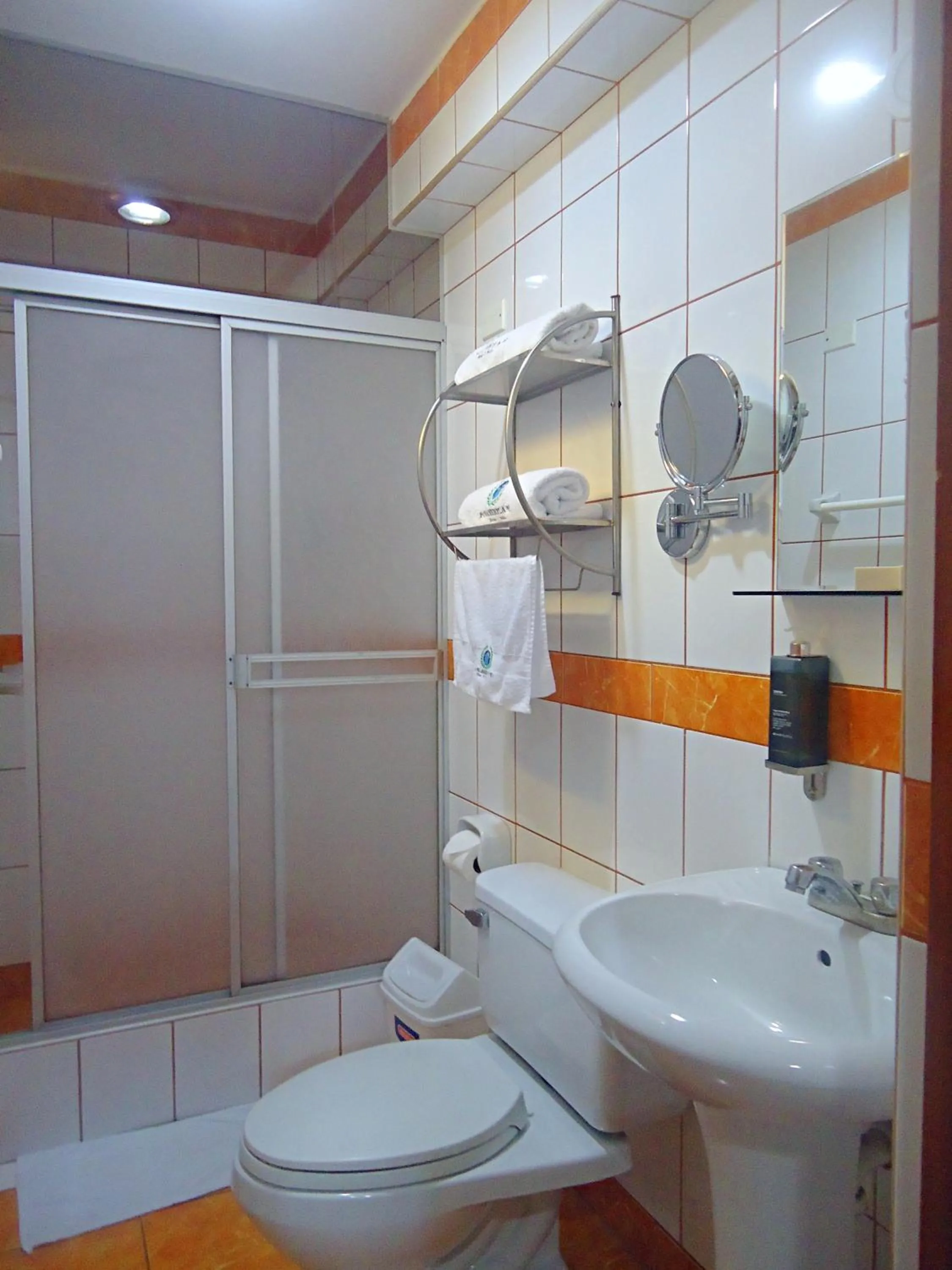 Shower in Hotel Panamericano