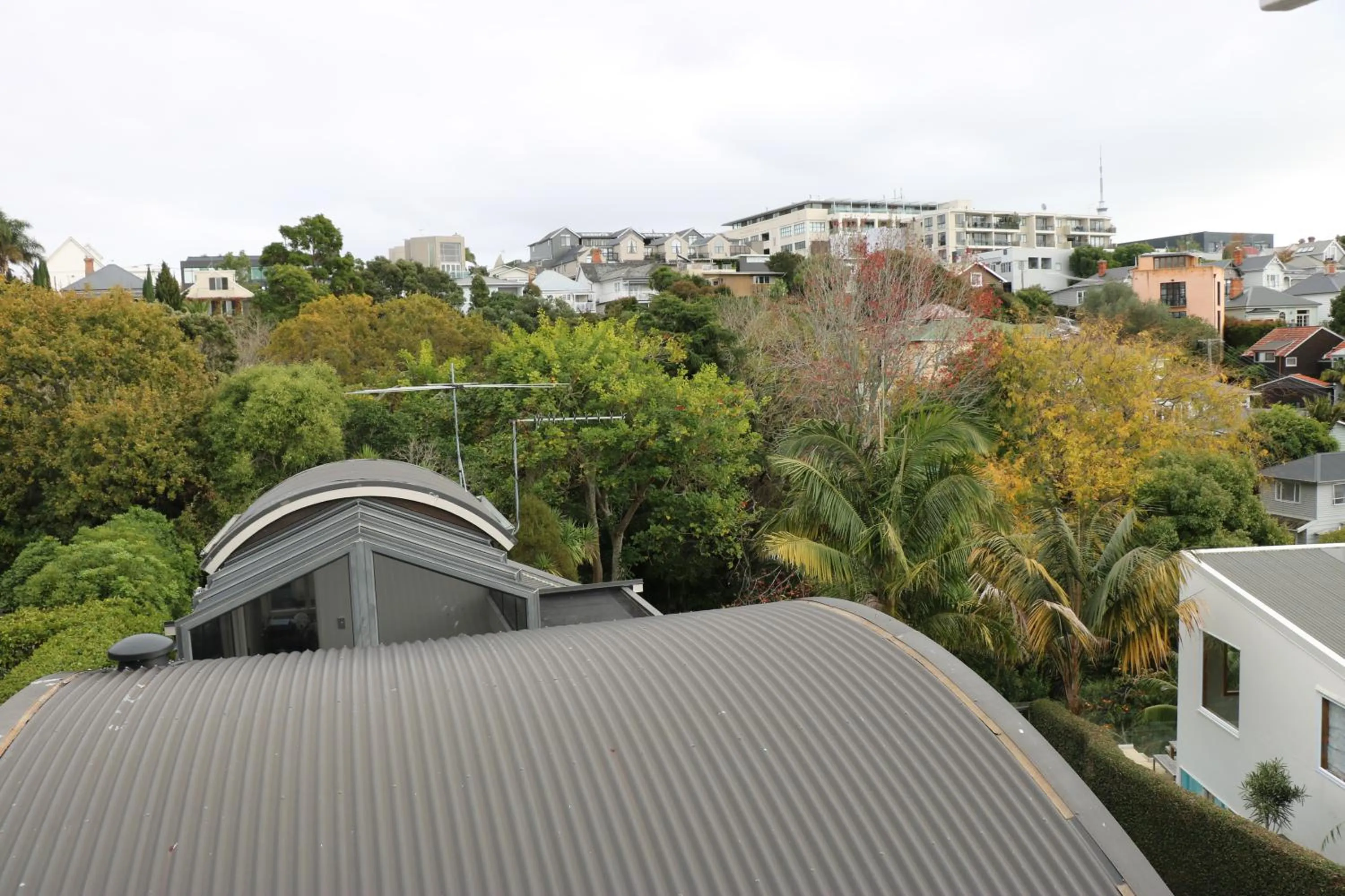 Neighbourhood in Lantana Lodge