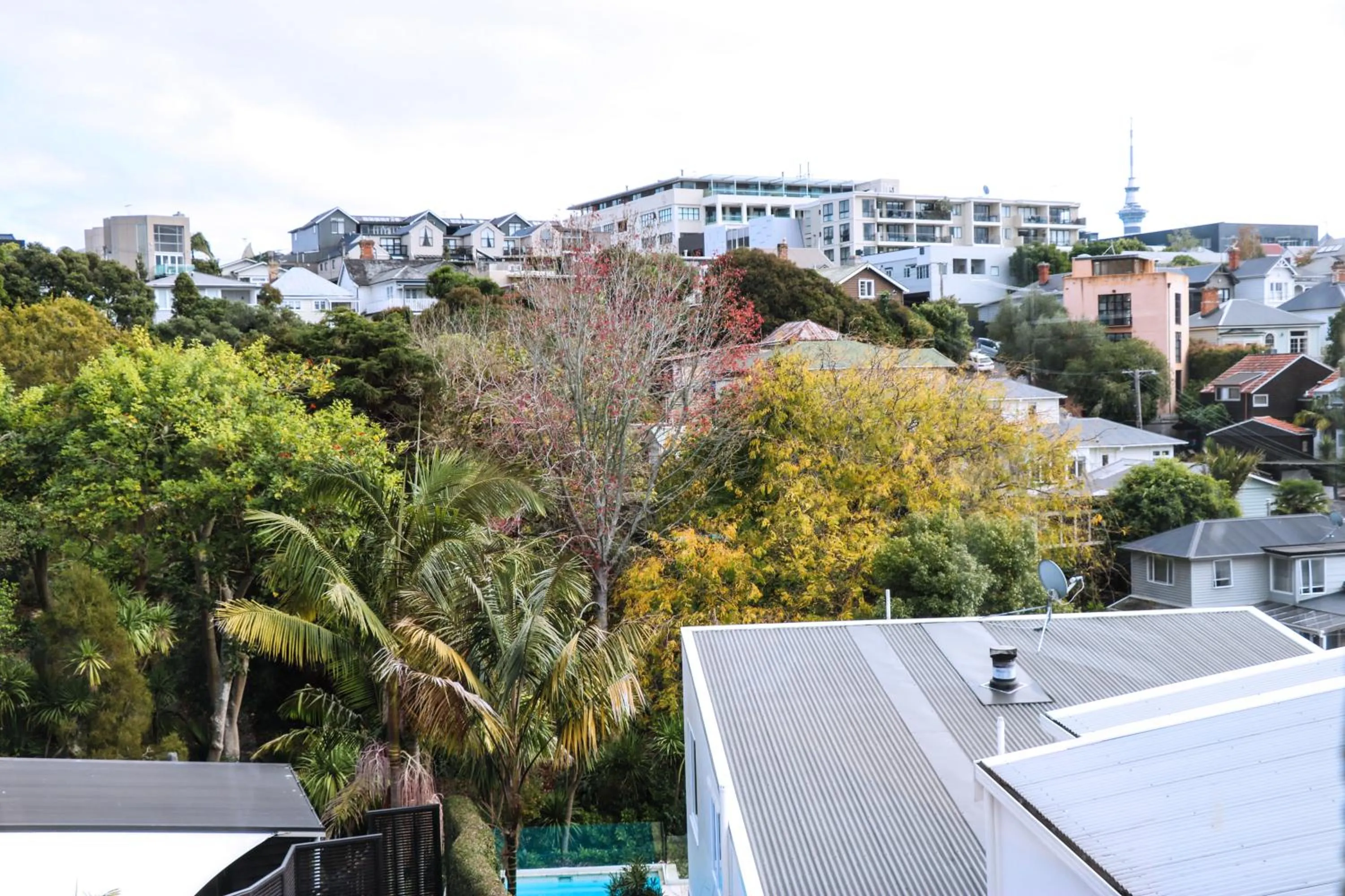 Nearby landmark in Lantana Lodge