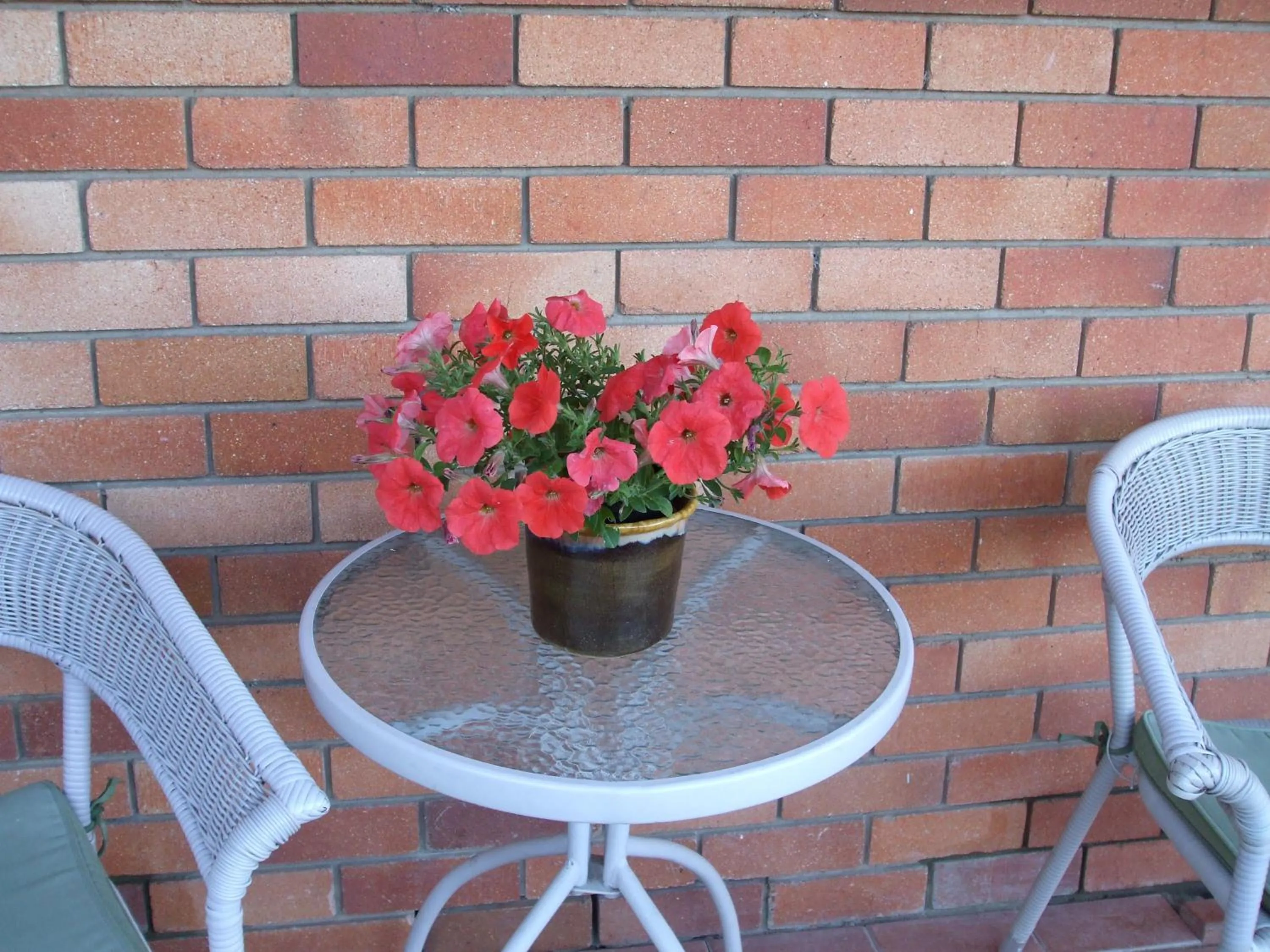 Facade/entrance in Anna Bella Motel Glen Innes