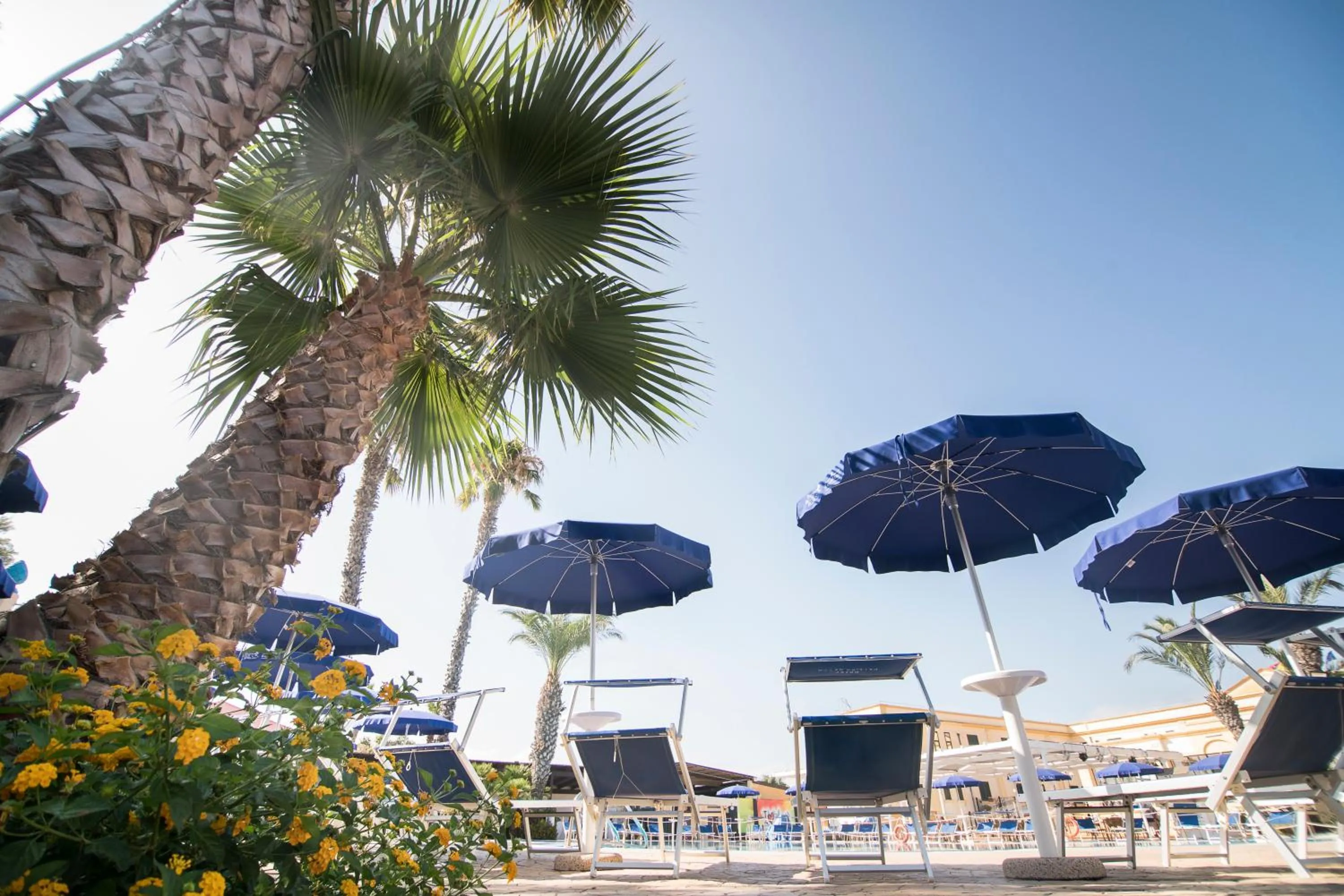 Swimming pool in Delfino Beach Hotel