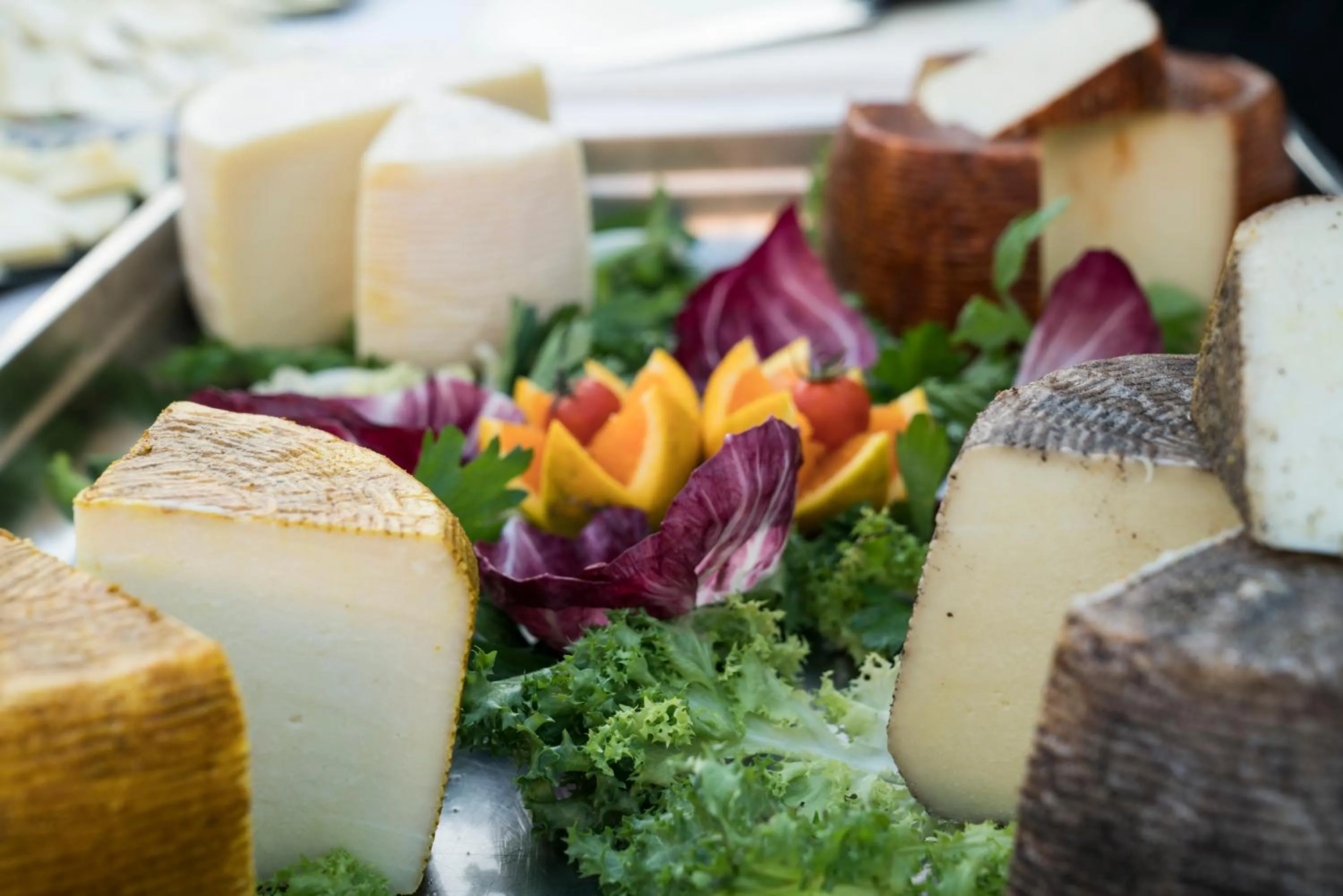 Food and drinks in Delfino Beach Hotel