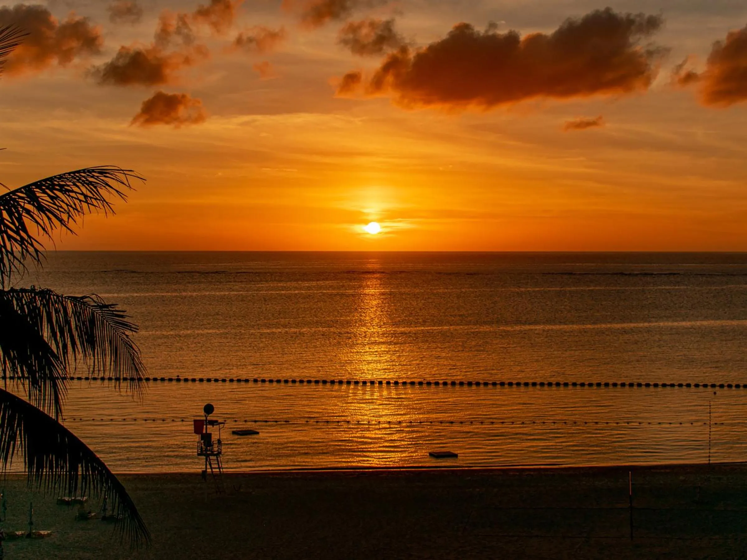 Natural landscape in The Moon Beach Museum Resort