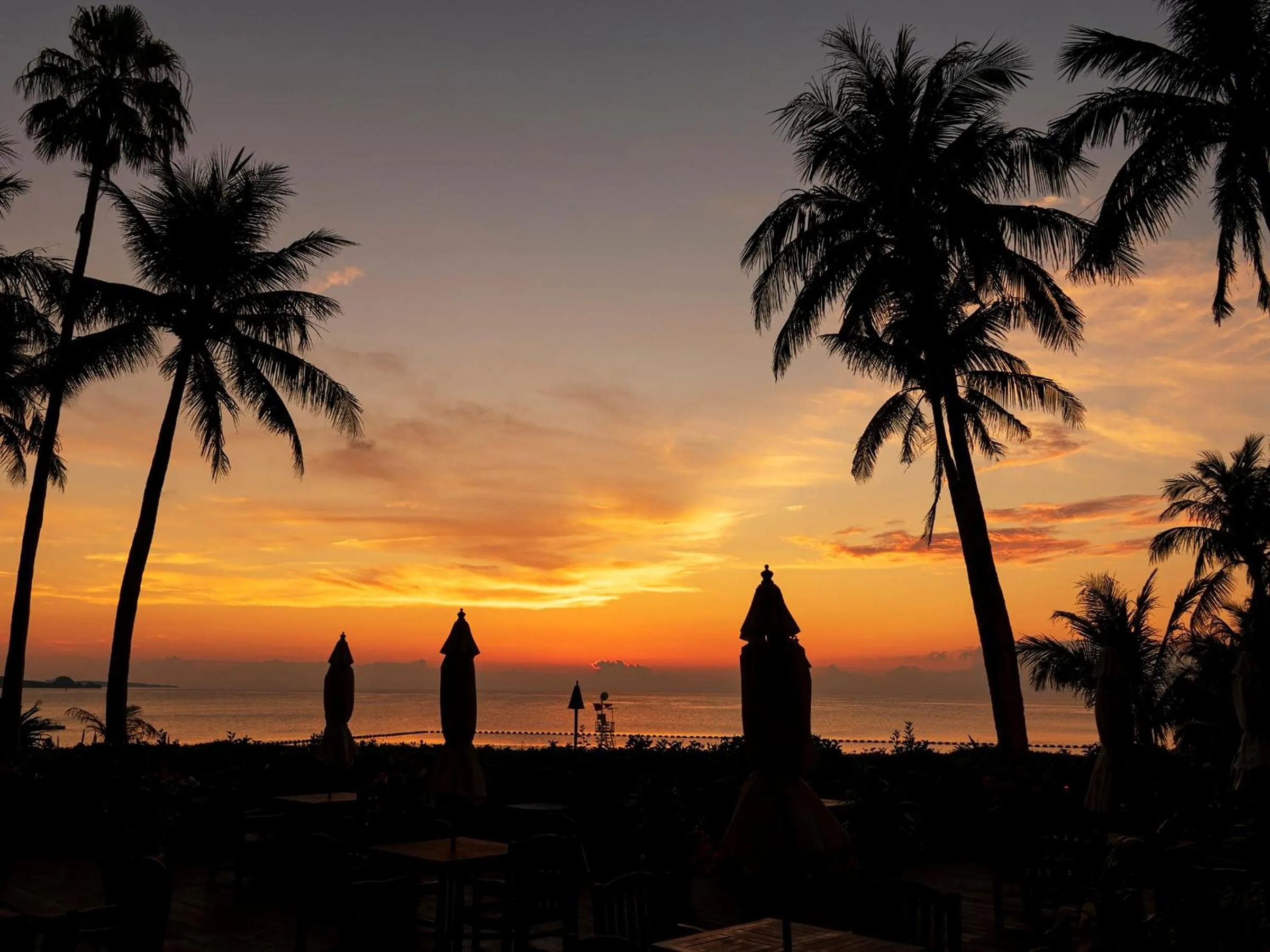 Summer in The Moon Beach Museum Resort