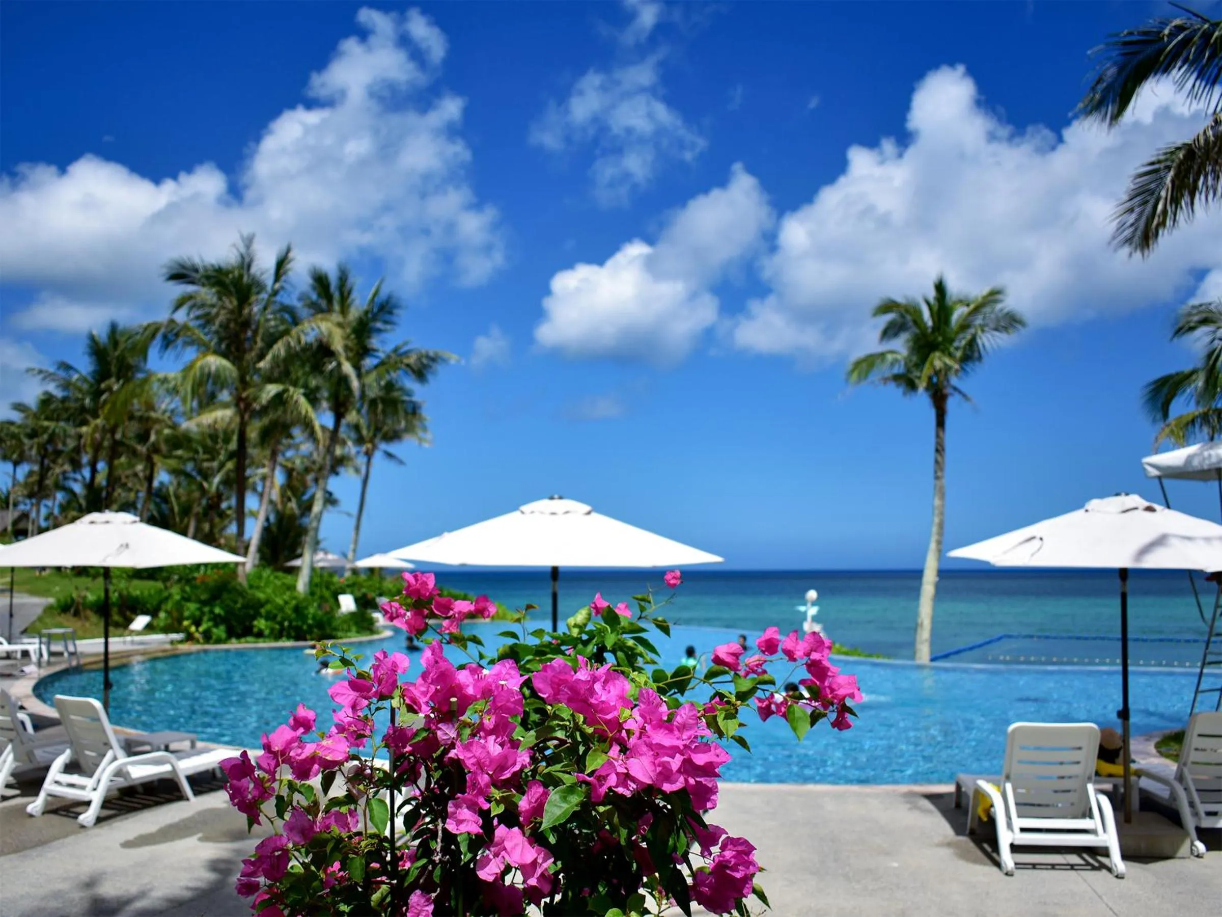 Day in The Moon Beach Museum Resort