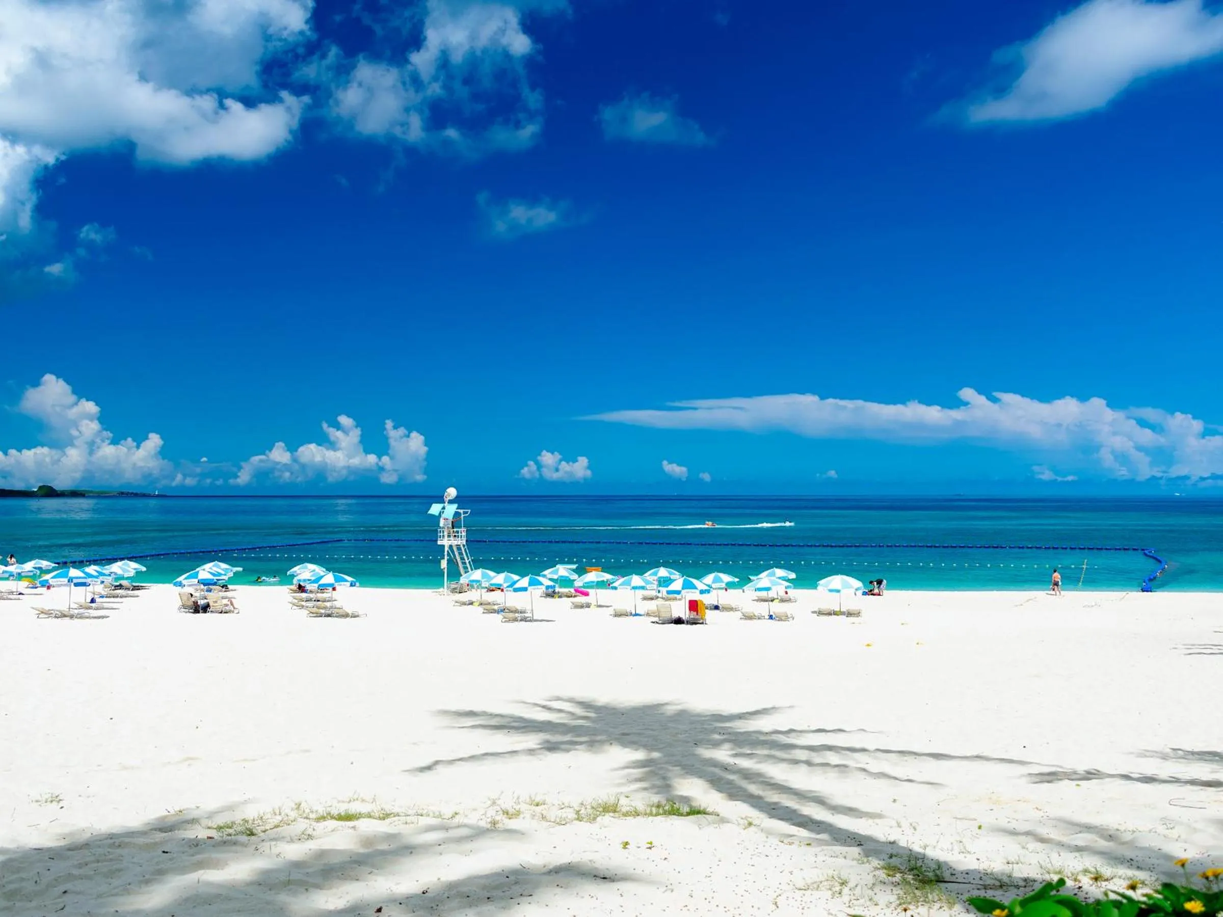 Day in The Moon Beach Museum Resort