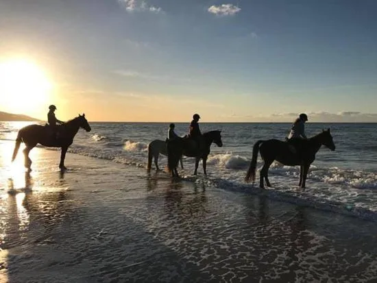 Horse-riding in LA TRANQUILITE