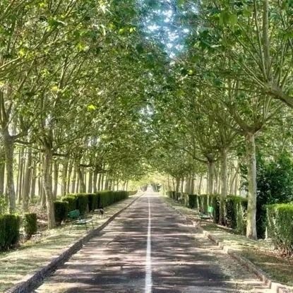 Nearby landmark in B&B Puente de Órbigo
