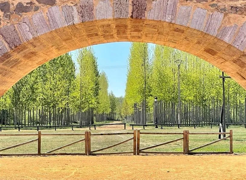Nearby landmark in B&B Puente de Órbigo