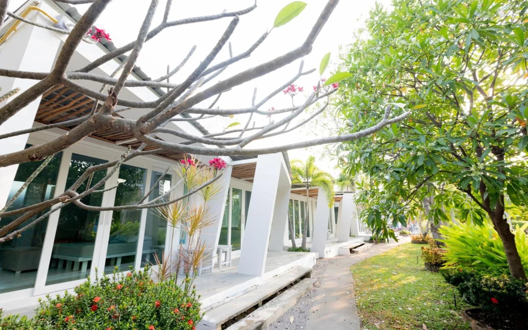 Property building in Kochira