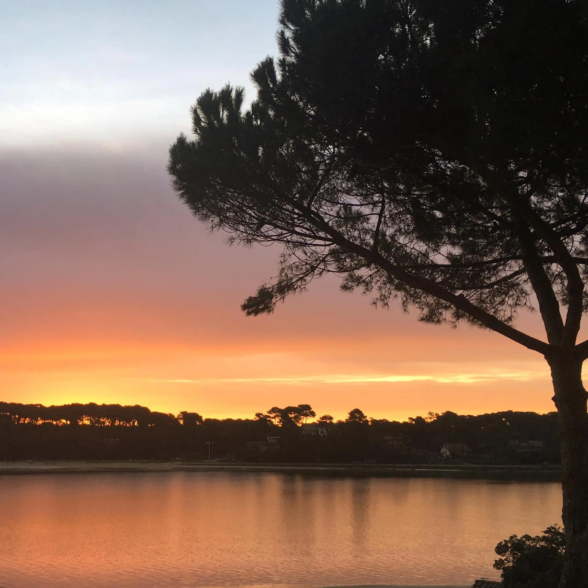 Lake view in Hôtel Les Hortensias du Lac