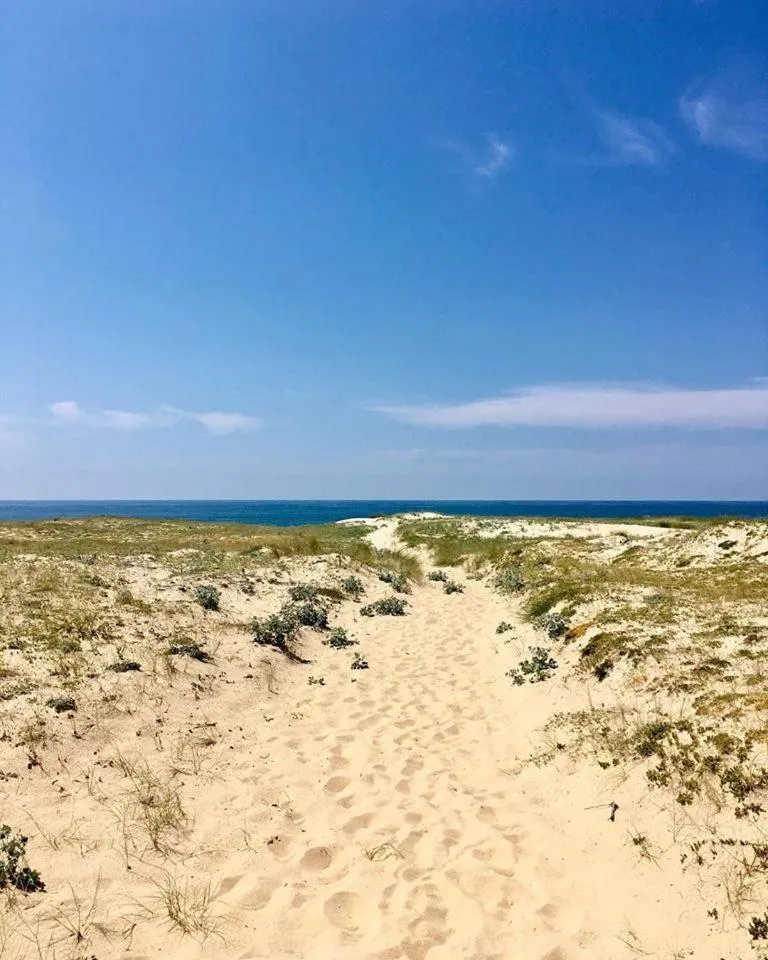 Beach in Hôtel Les Hortensias du Lac