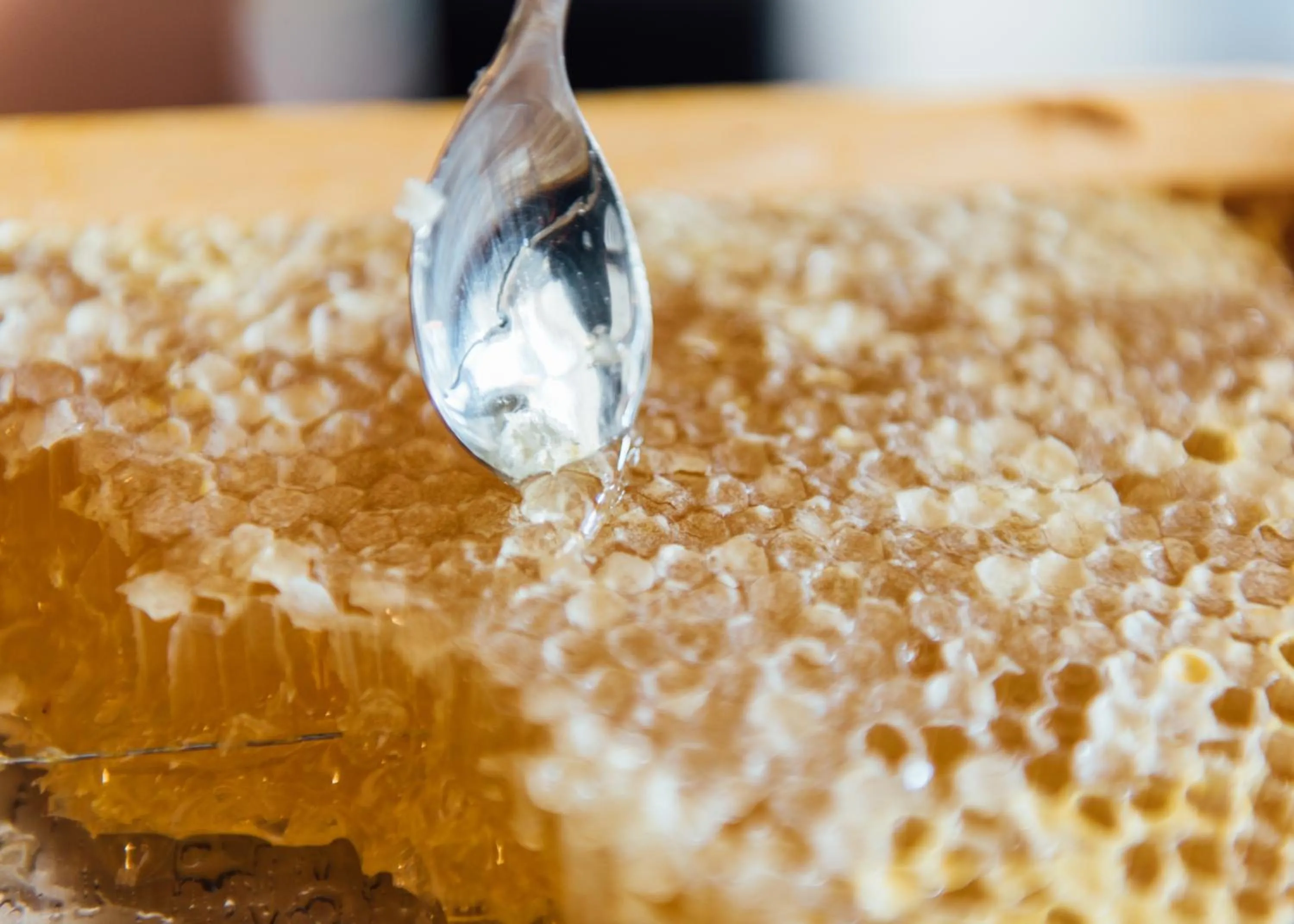 Food in Arcade Hotel