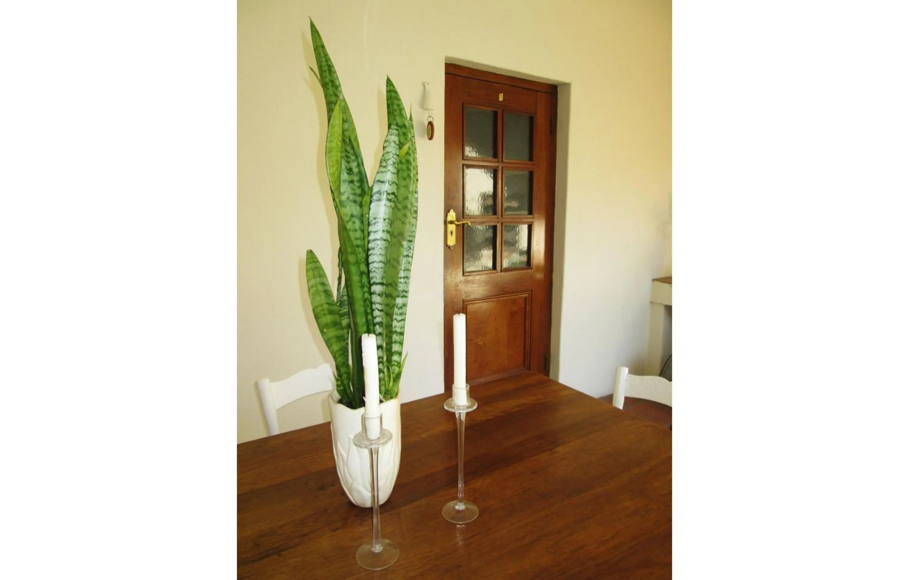 Patio in Brooks Cottage