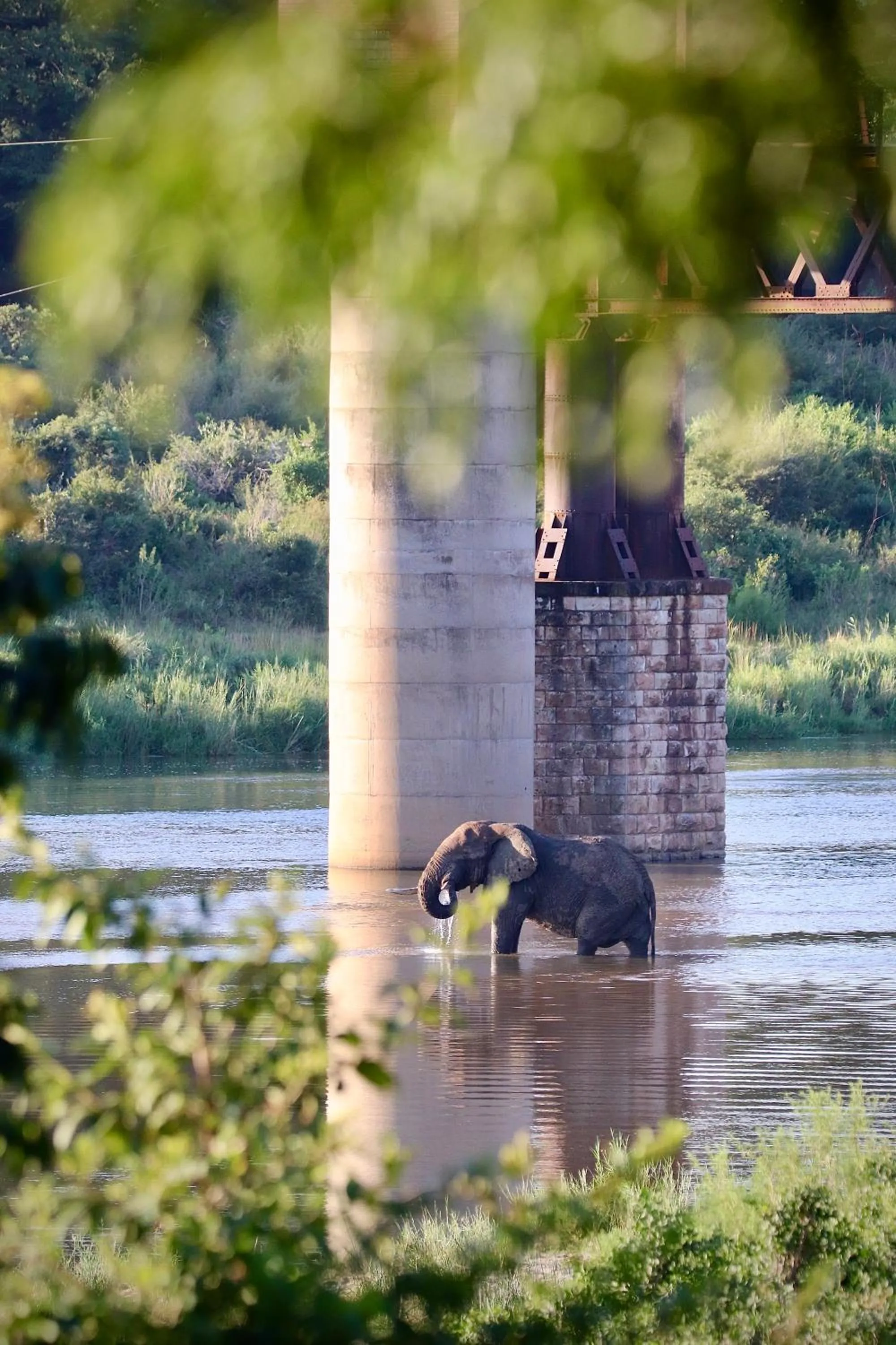 Elephant Walk Retreat