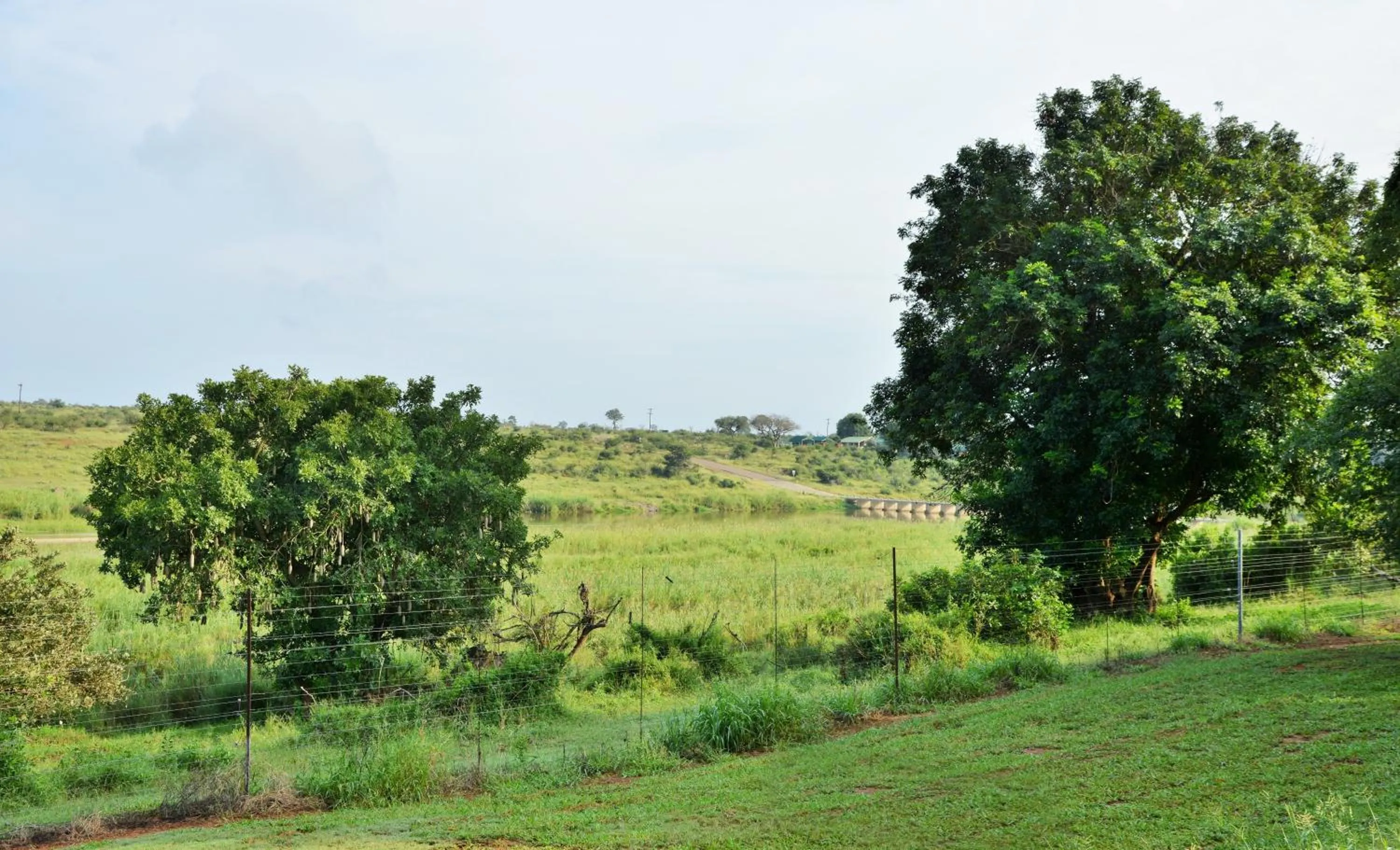 View (from property/room) in Elephant Walk Retreat
