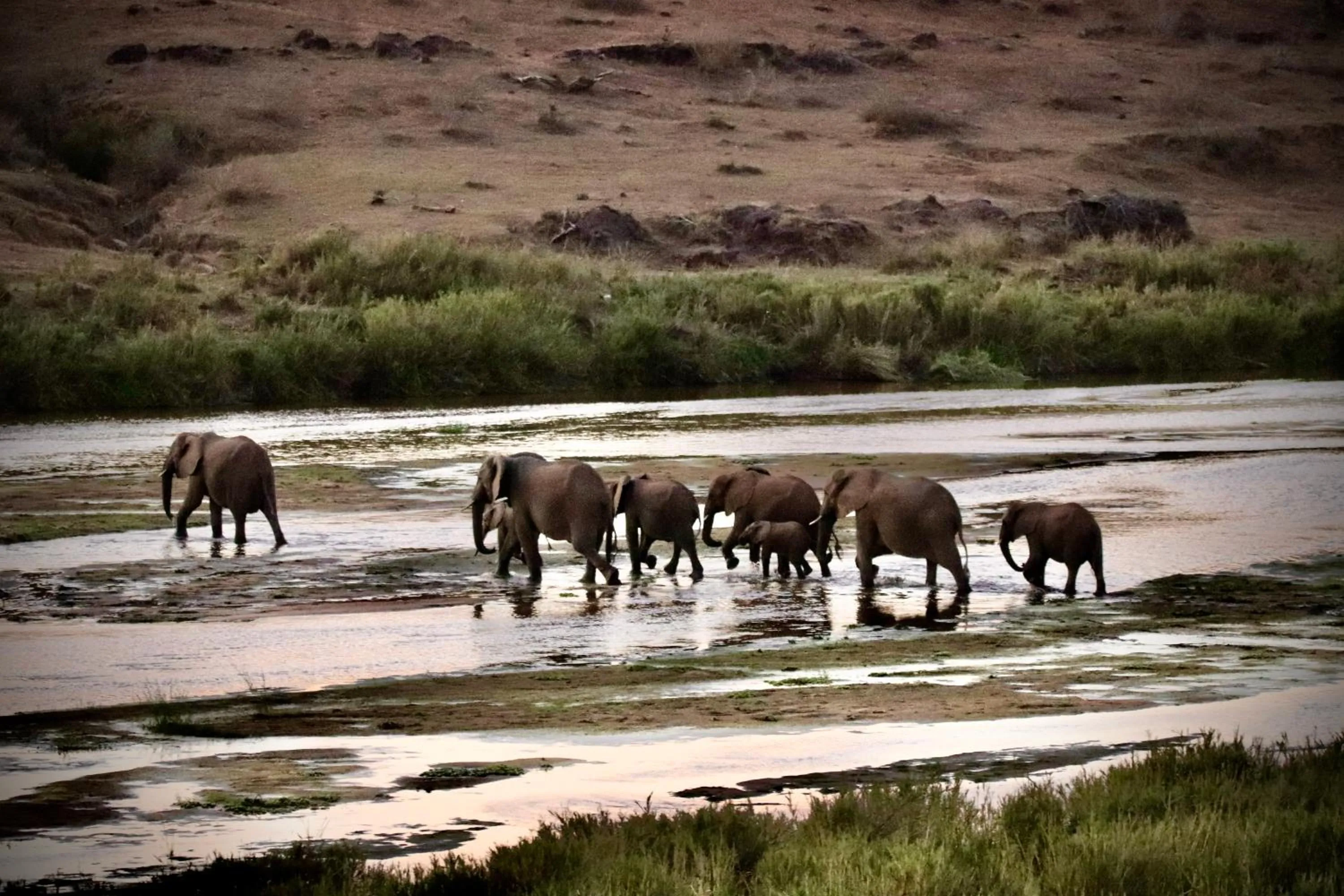 Elephant Walk Retreat