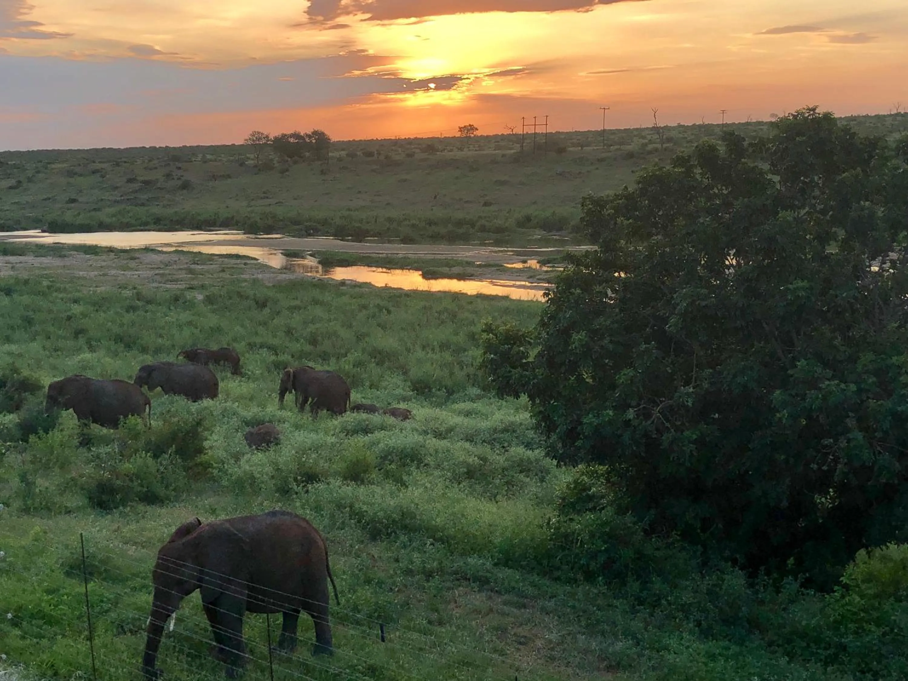 Natural landscape in Elephant Walk Retreat