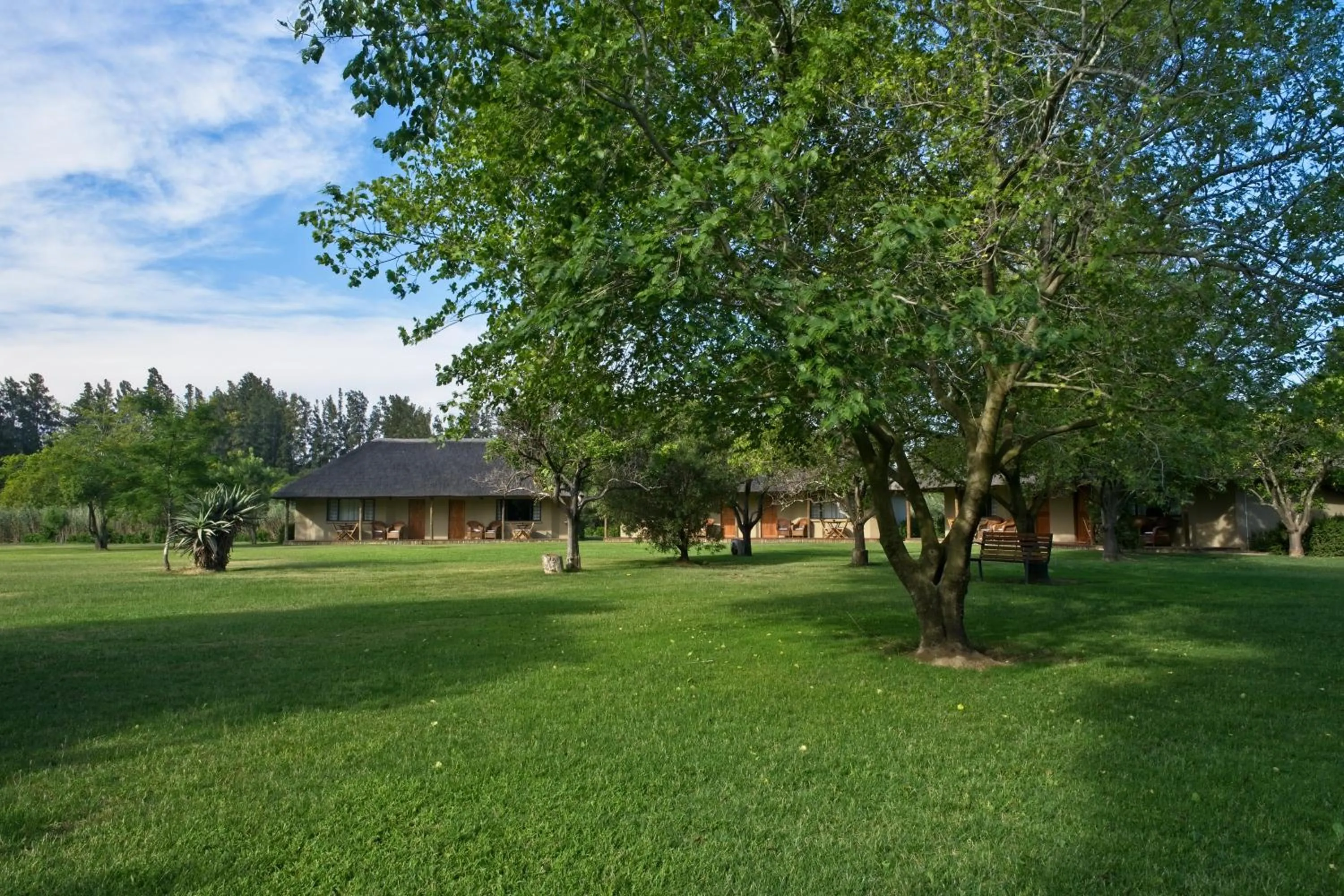 Garden in Chrislin African Lodge