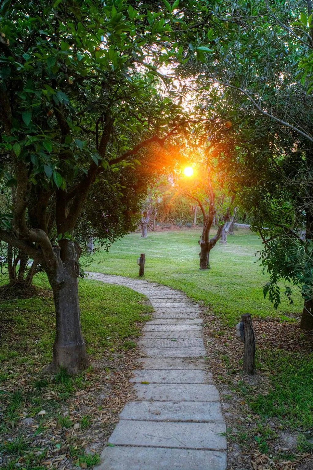 Garden view in Chrislin African Lodge