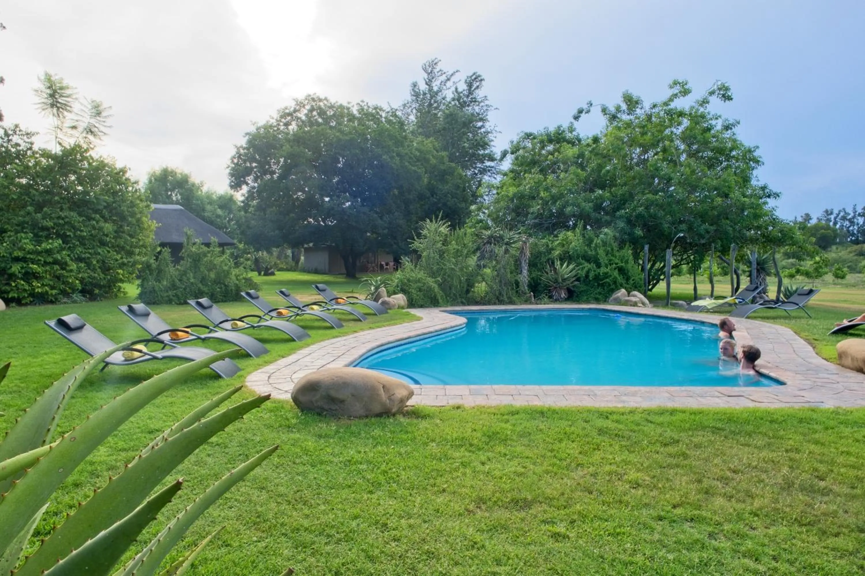 Garden in Chrislin African Lodge