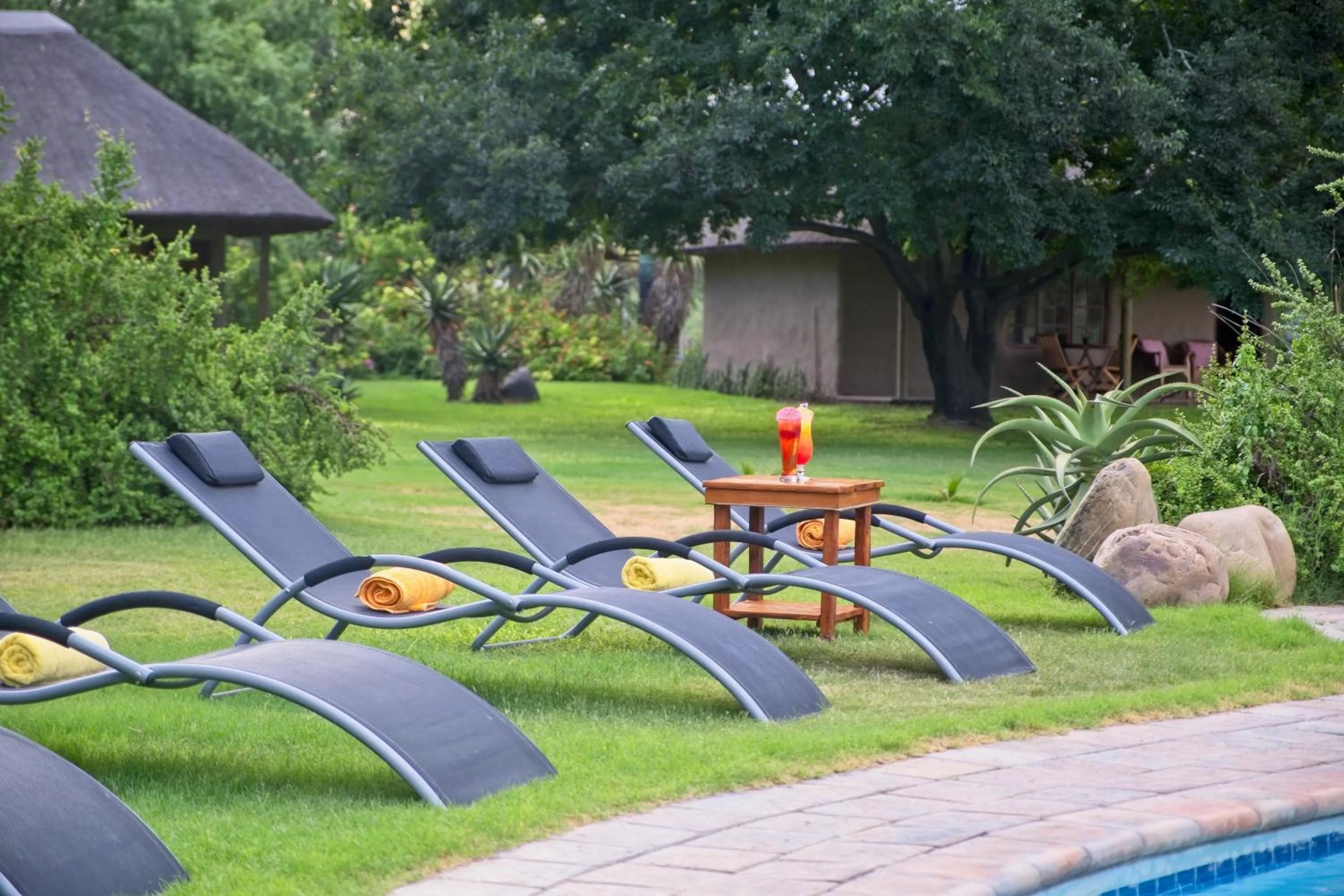 Garden in Chrislin African Lodge