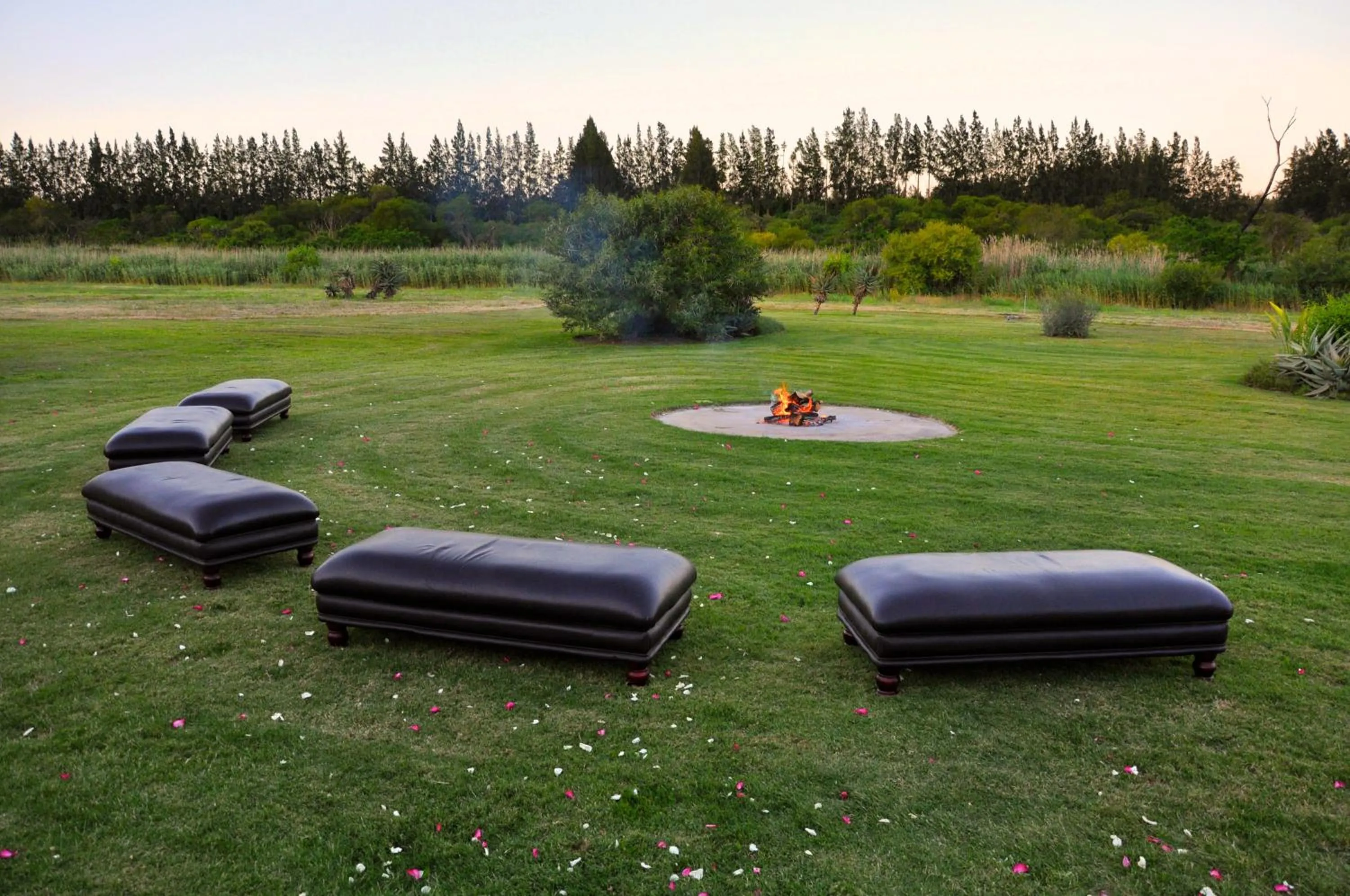 Garden in Chrislin African Lodge