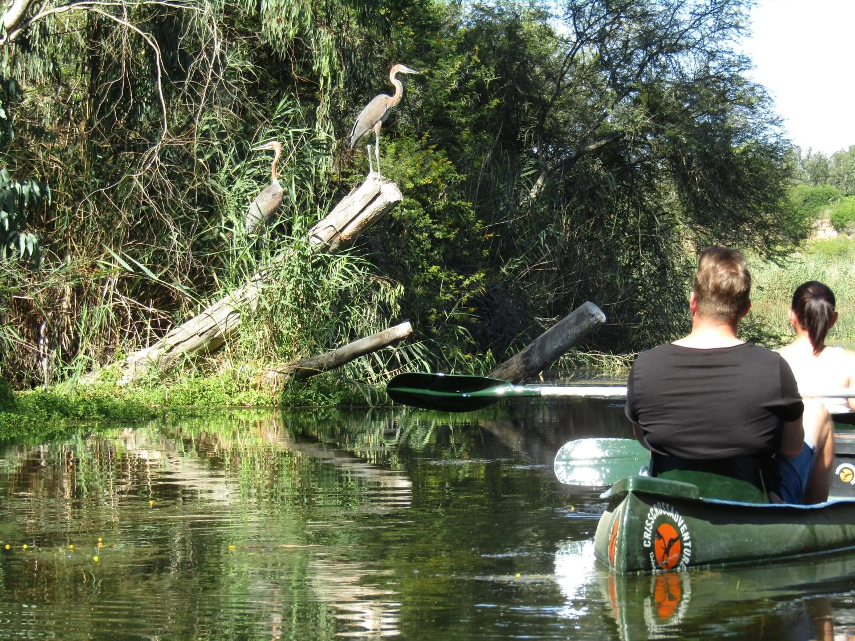 People in Chrislin African Lodge