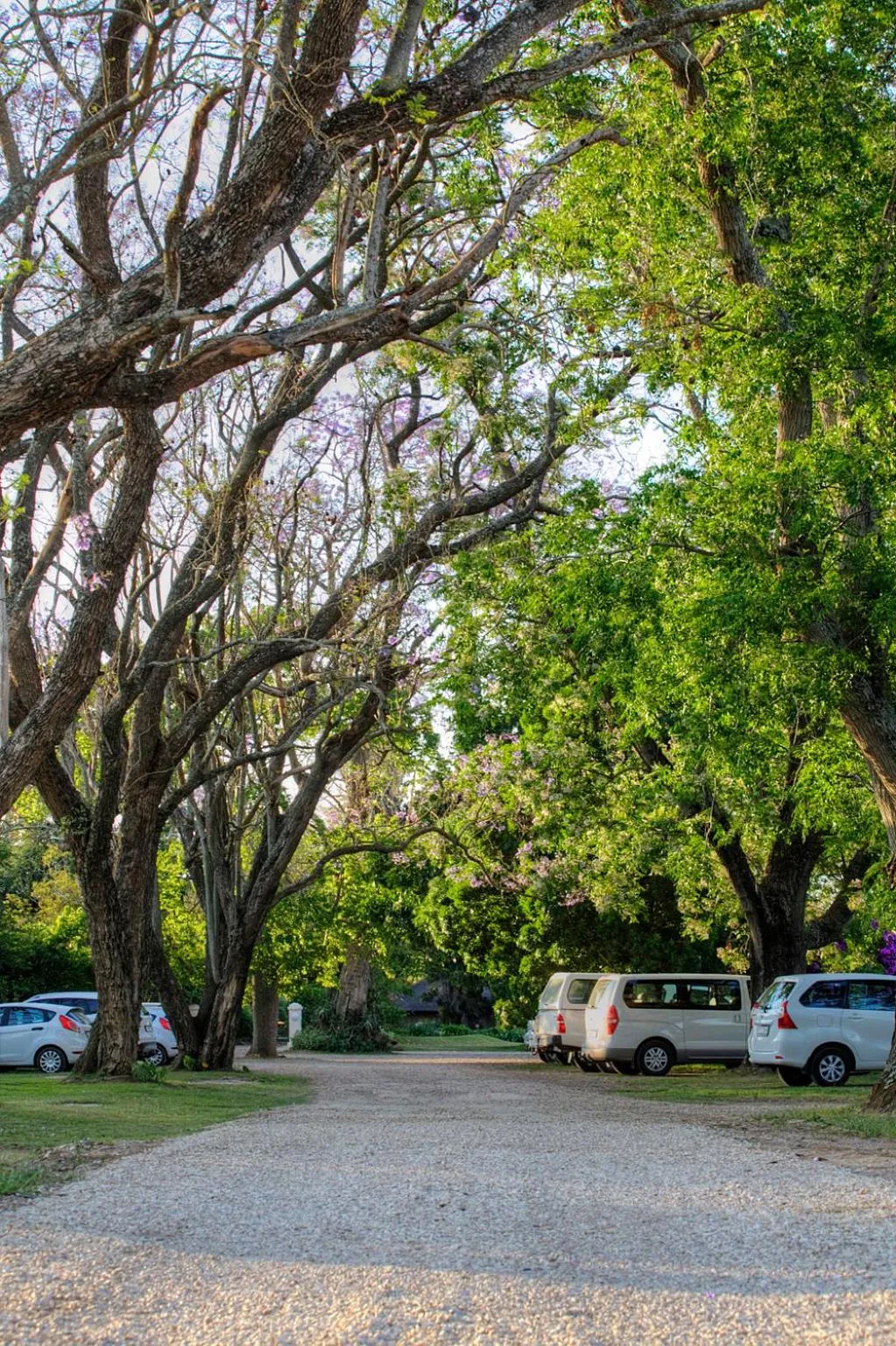 Facade/entrance in Chrislin African Lodge