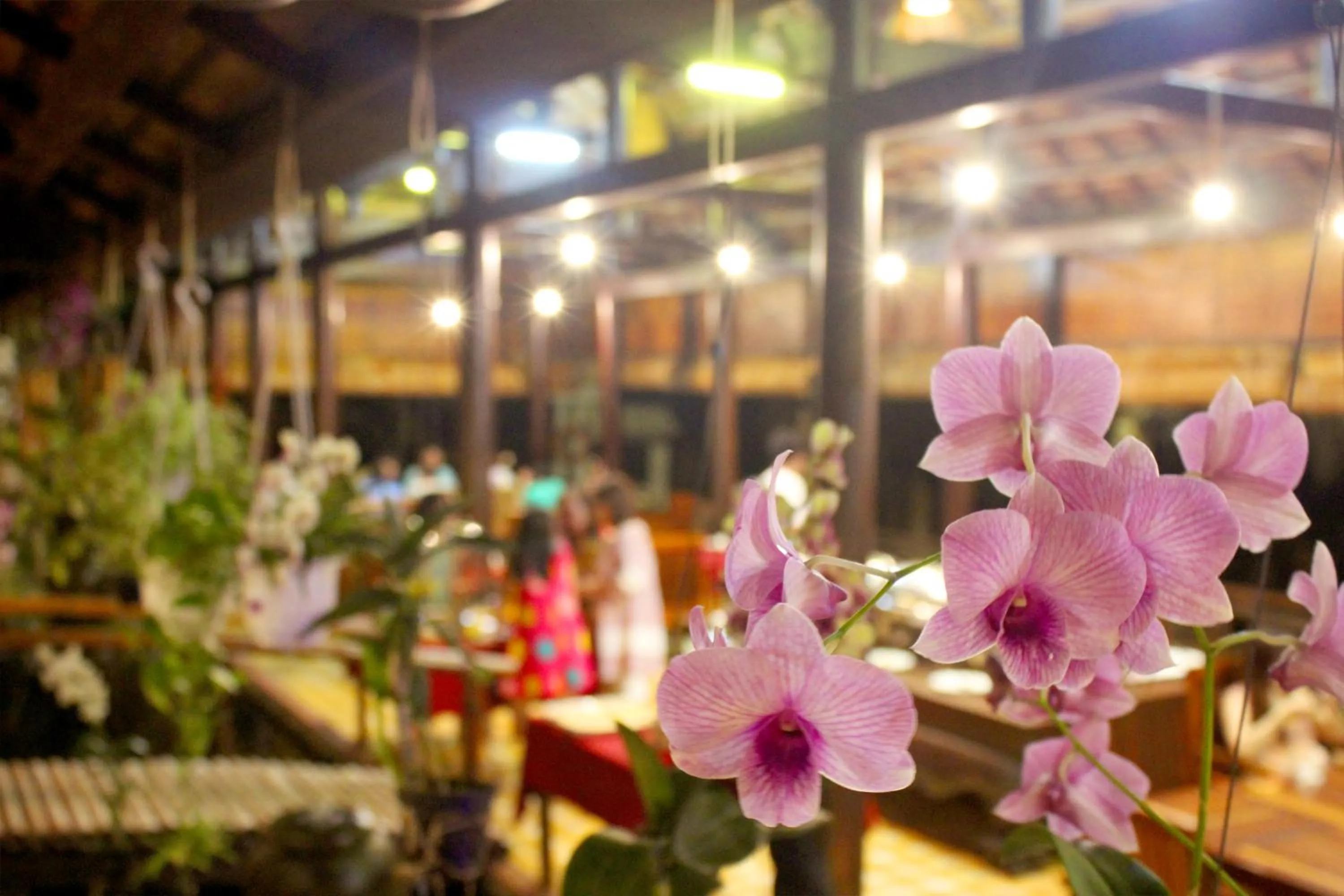 Restaurant/places to eat in Blue Shell Resort