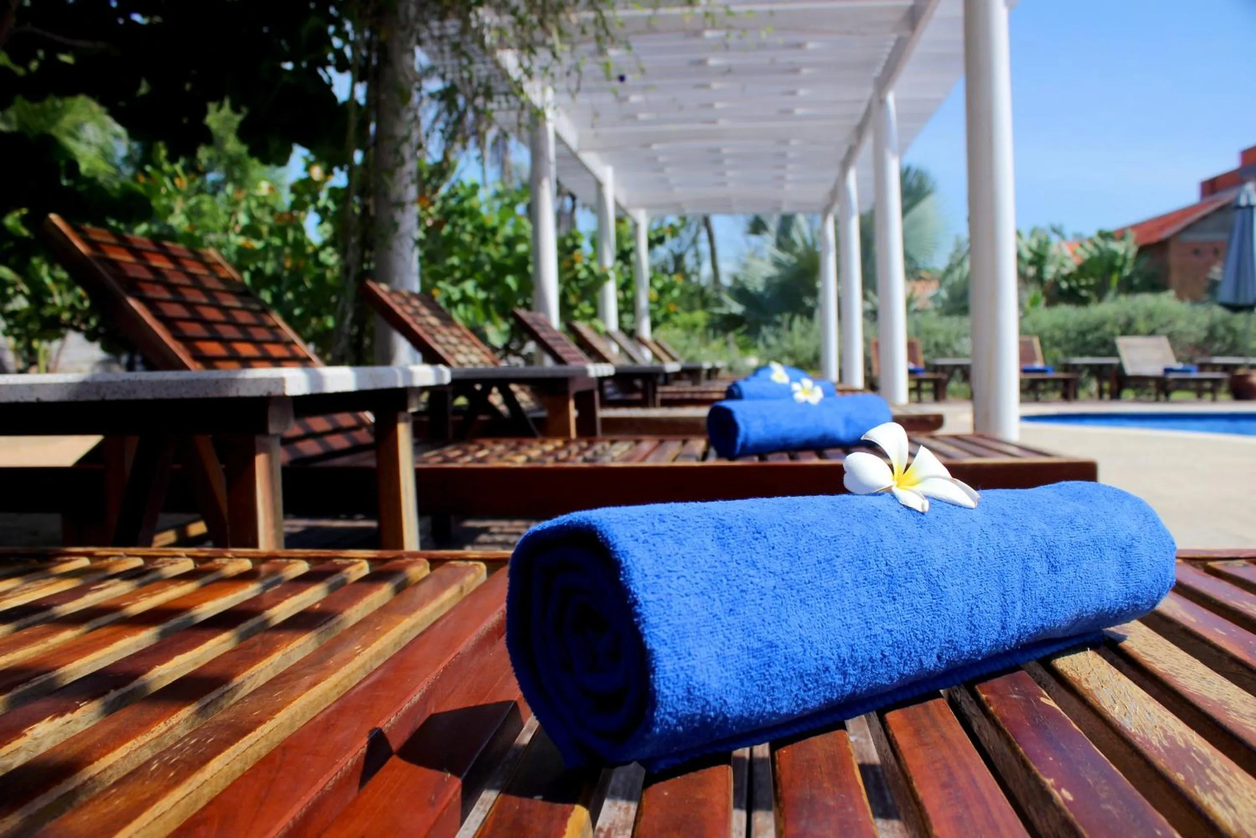 Swimming pool in Blue Shell Resort