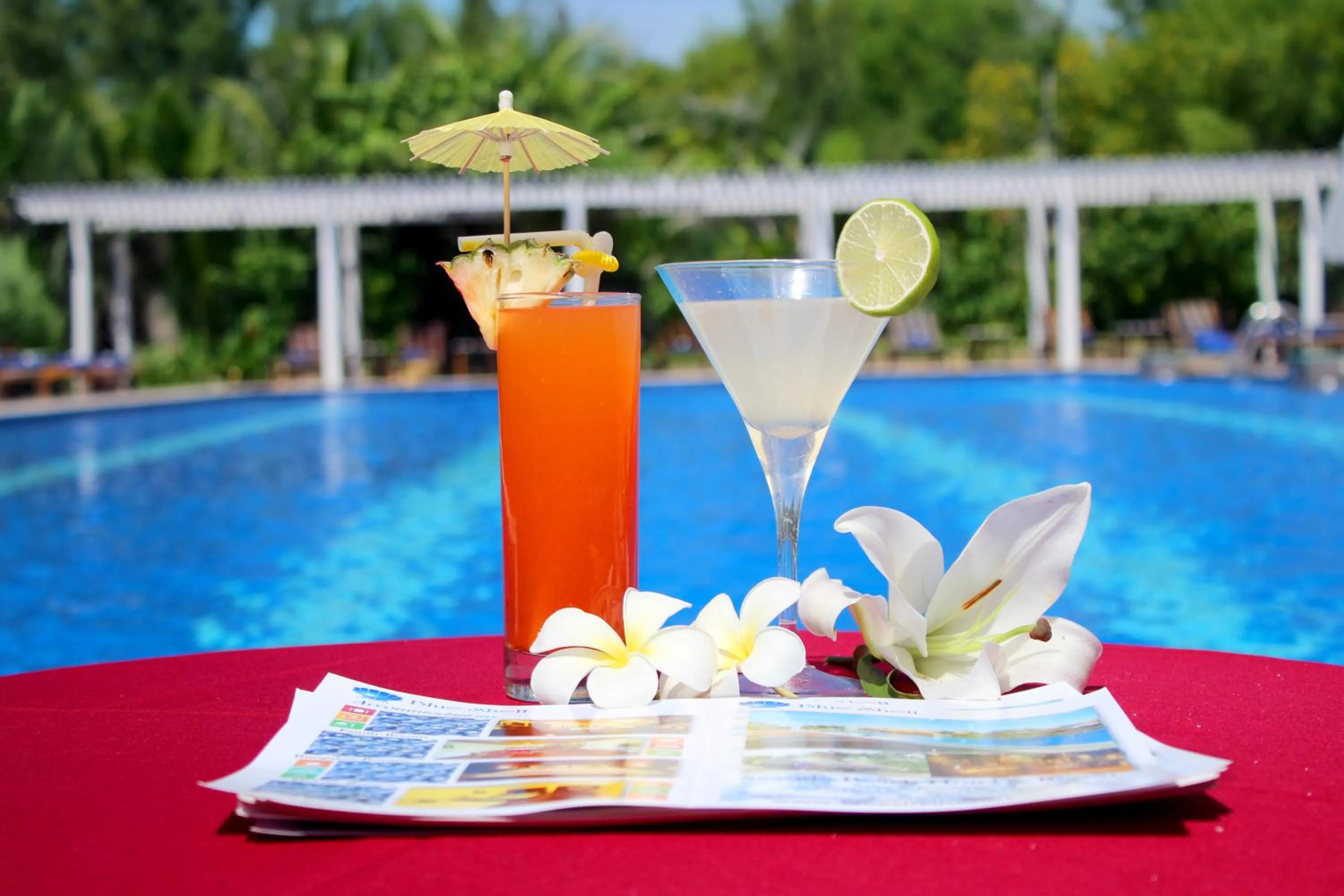 Swimming pool in Blue Shell Resort