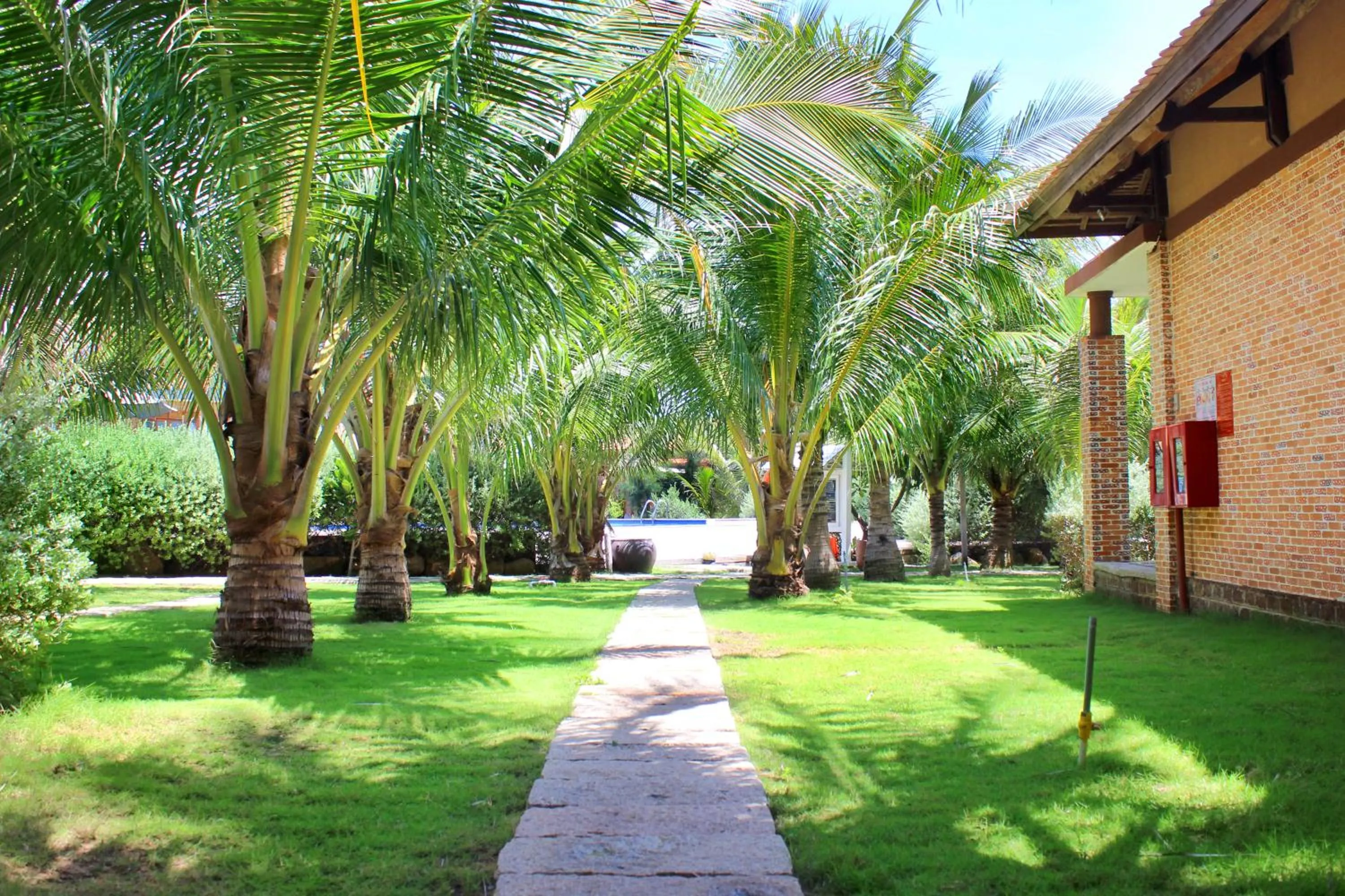 Garden view in Blue Shell Resort