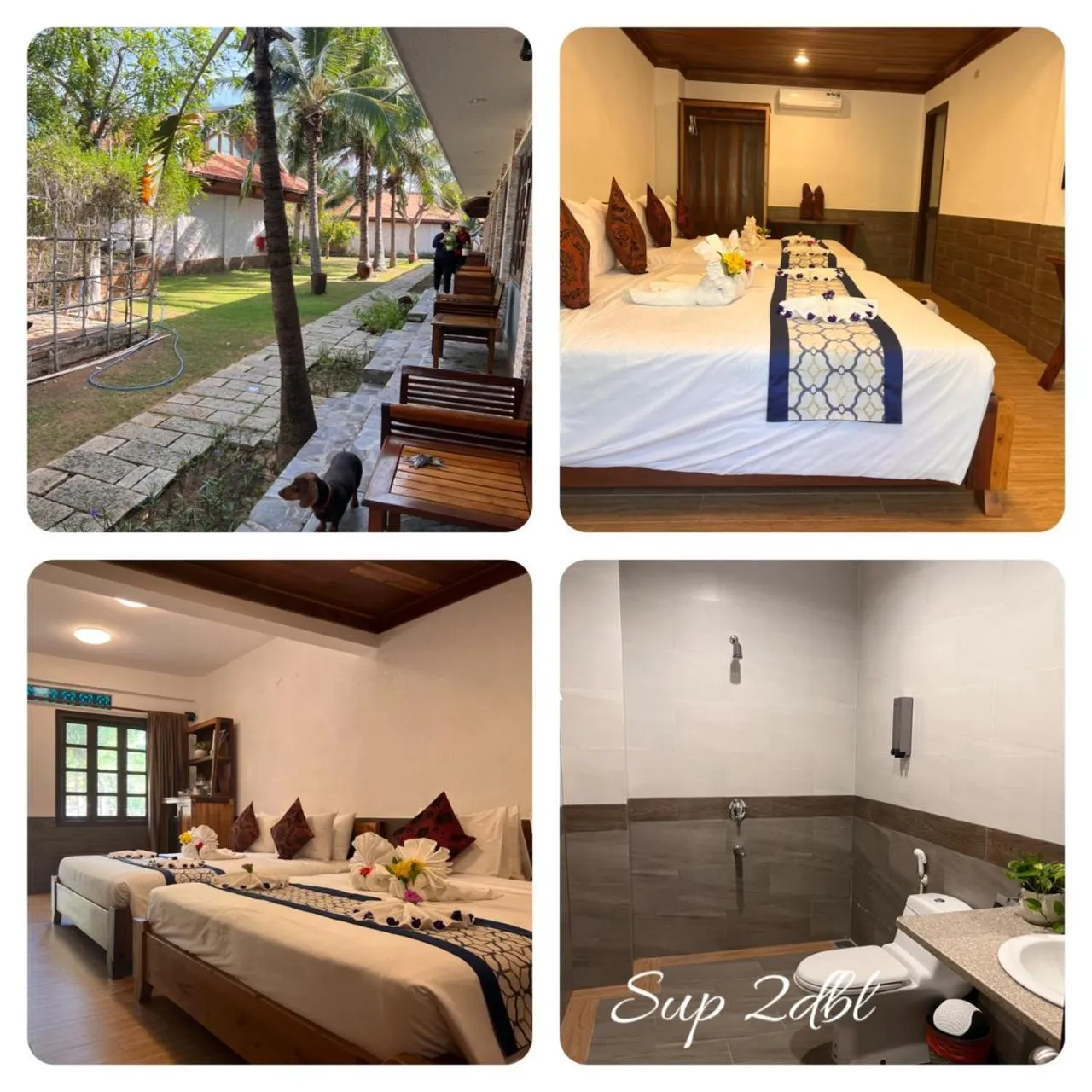 Photo of the whole room in Blue Shell Resort