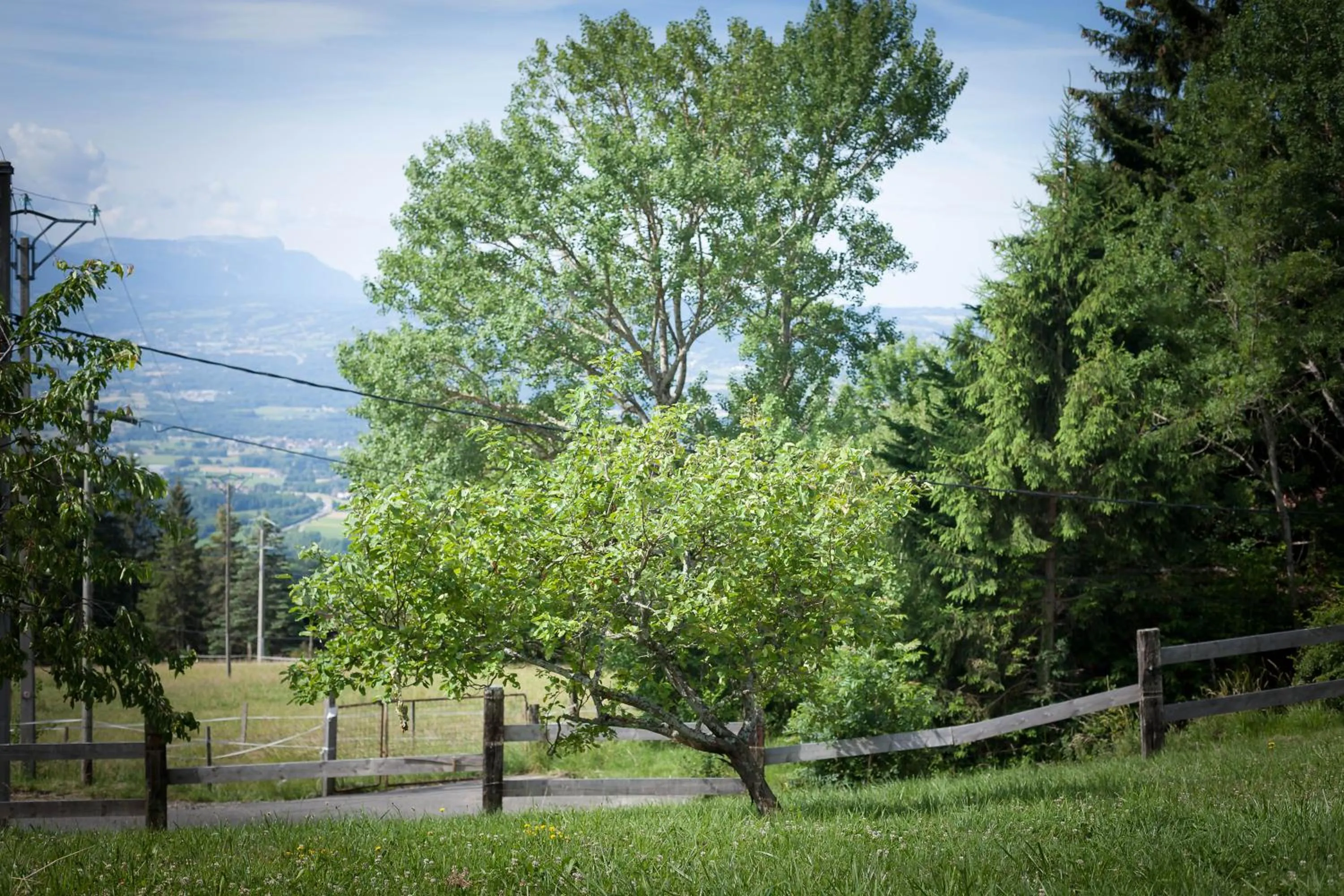 Summer in Le Bonheur dans le Pré