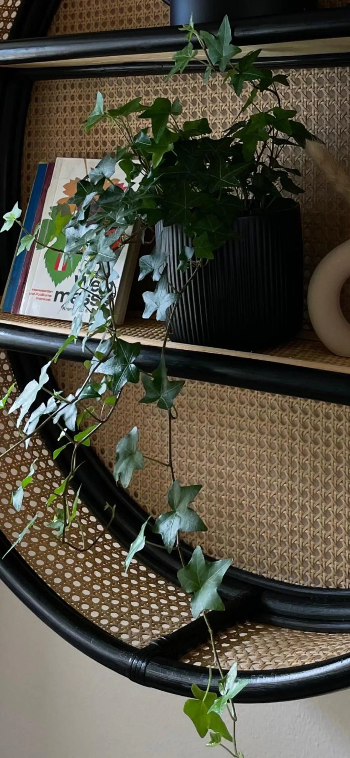 Decorative detail in Vierzigerhof