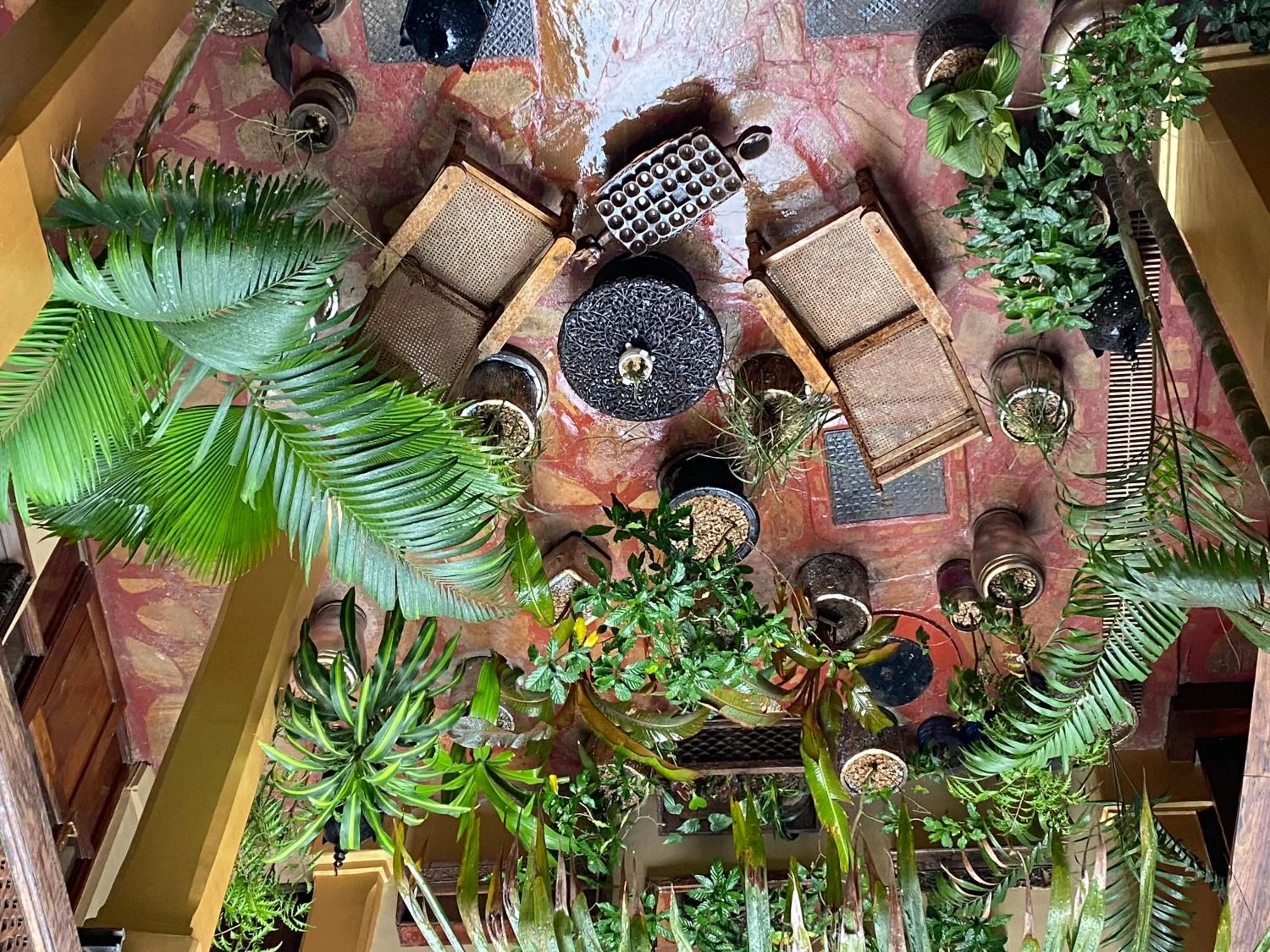 Garden view in Jafferji House