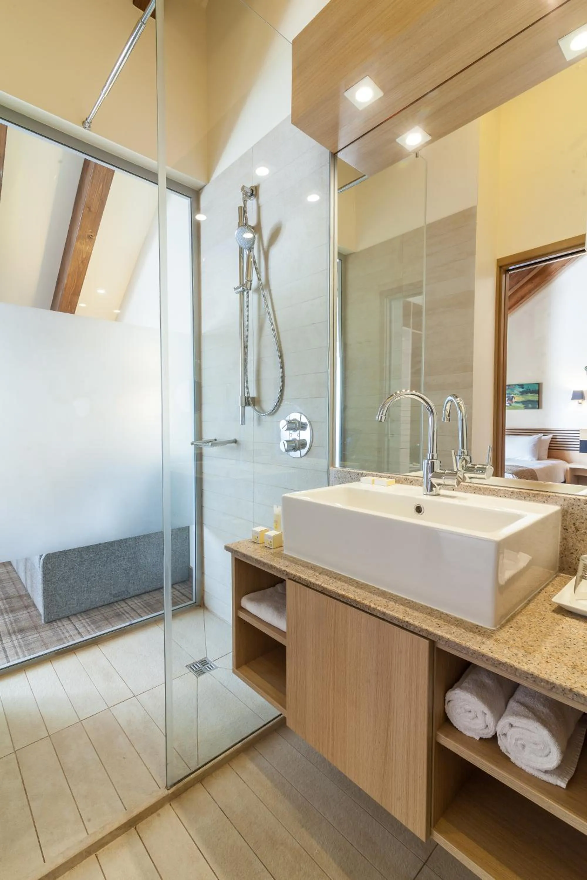 Shower in Ana Hotels Sport Poiana Brasov