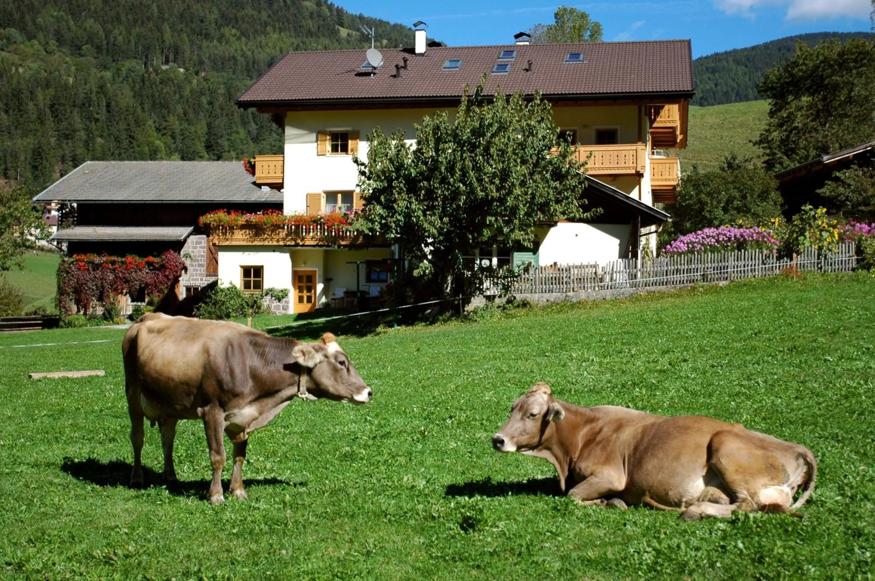Ganoihof apartments