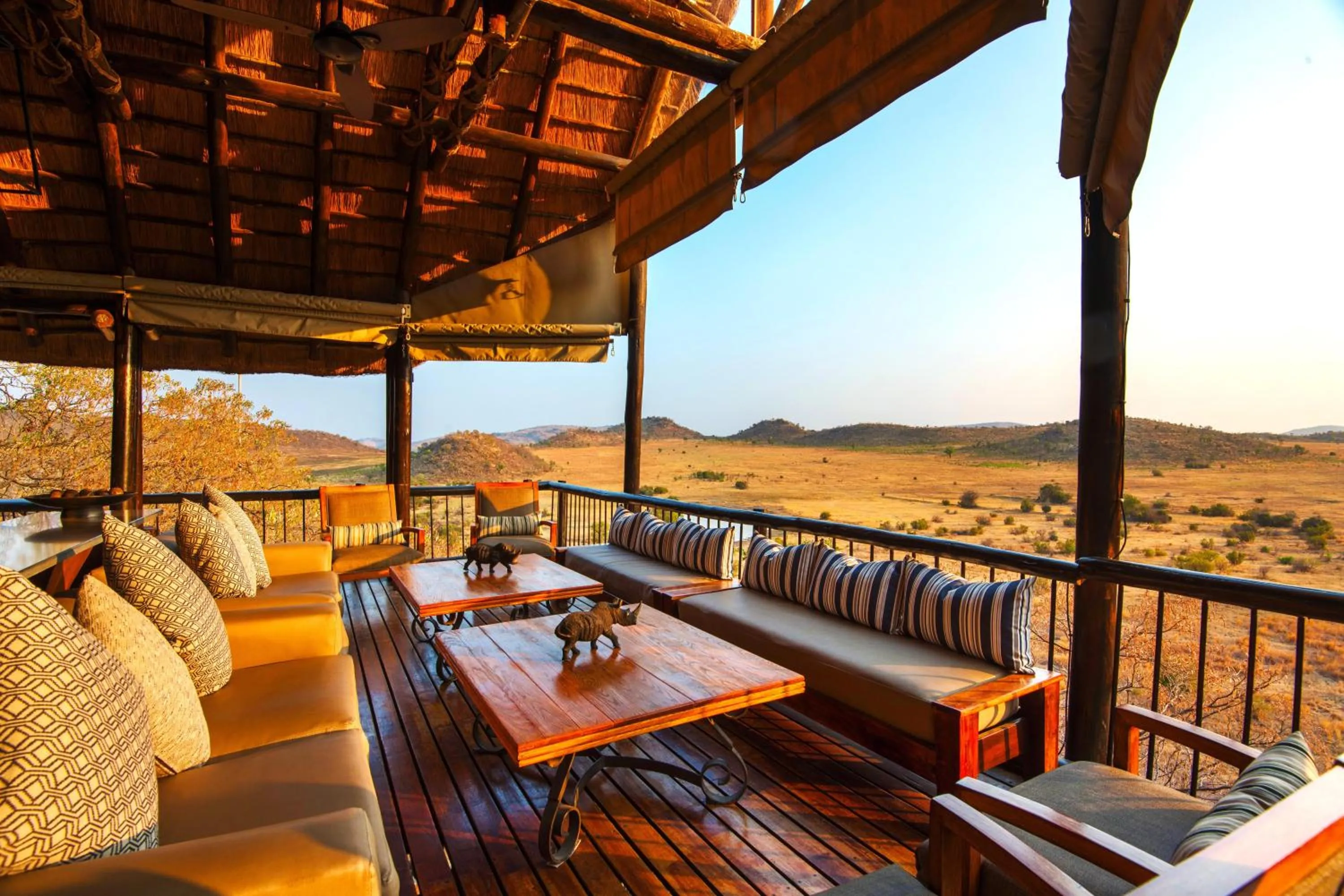 Balcony/Terrace in Tshukudu Bush Lodge