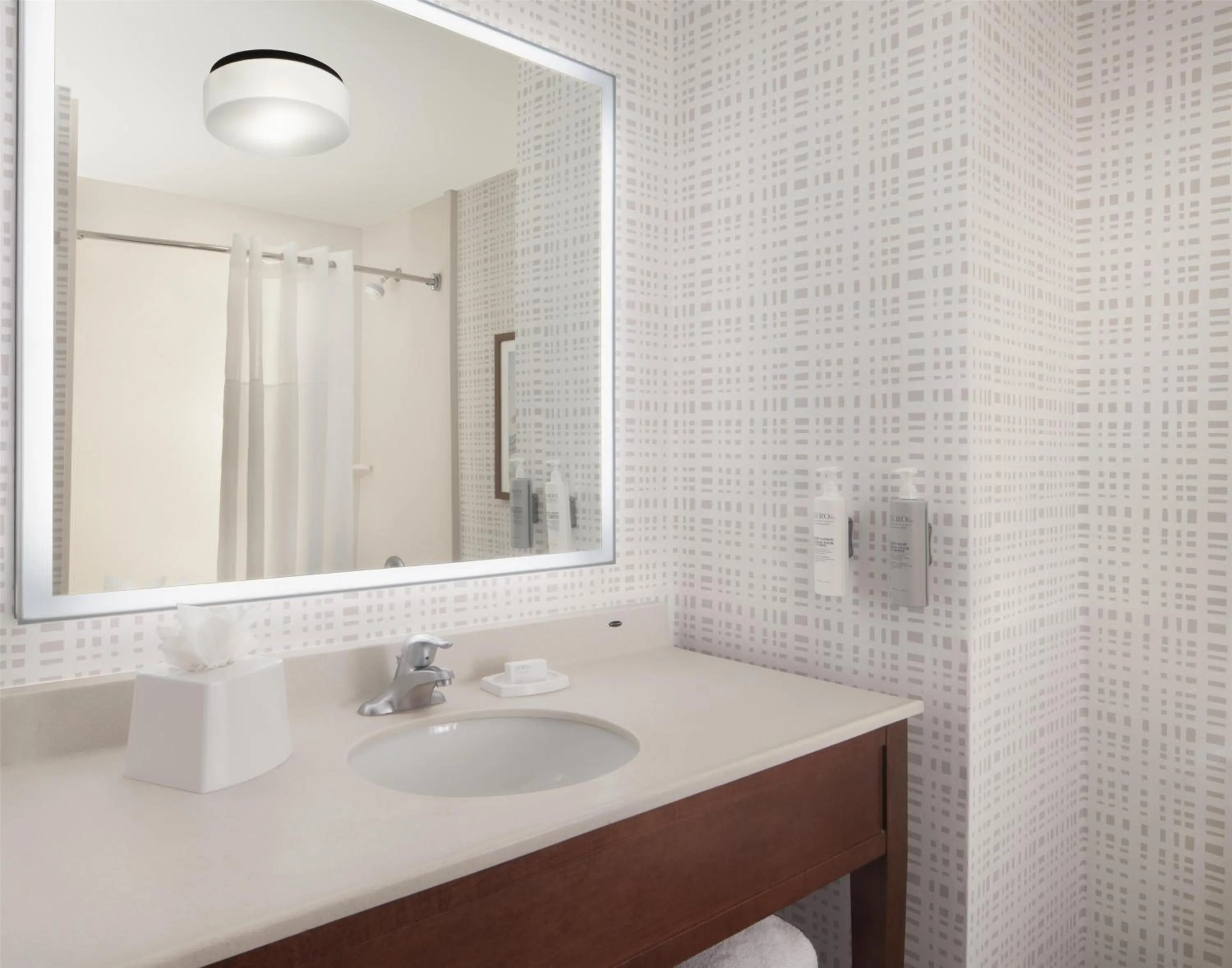 Bathroom in Hampton Inn & Suites Tampa-North