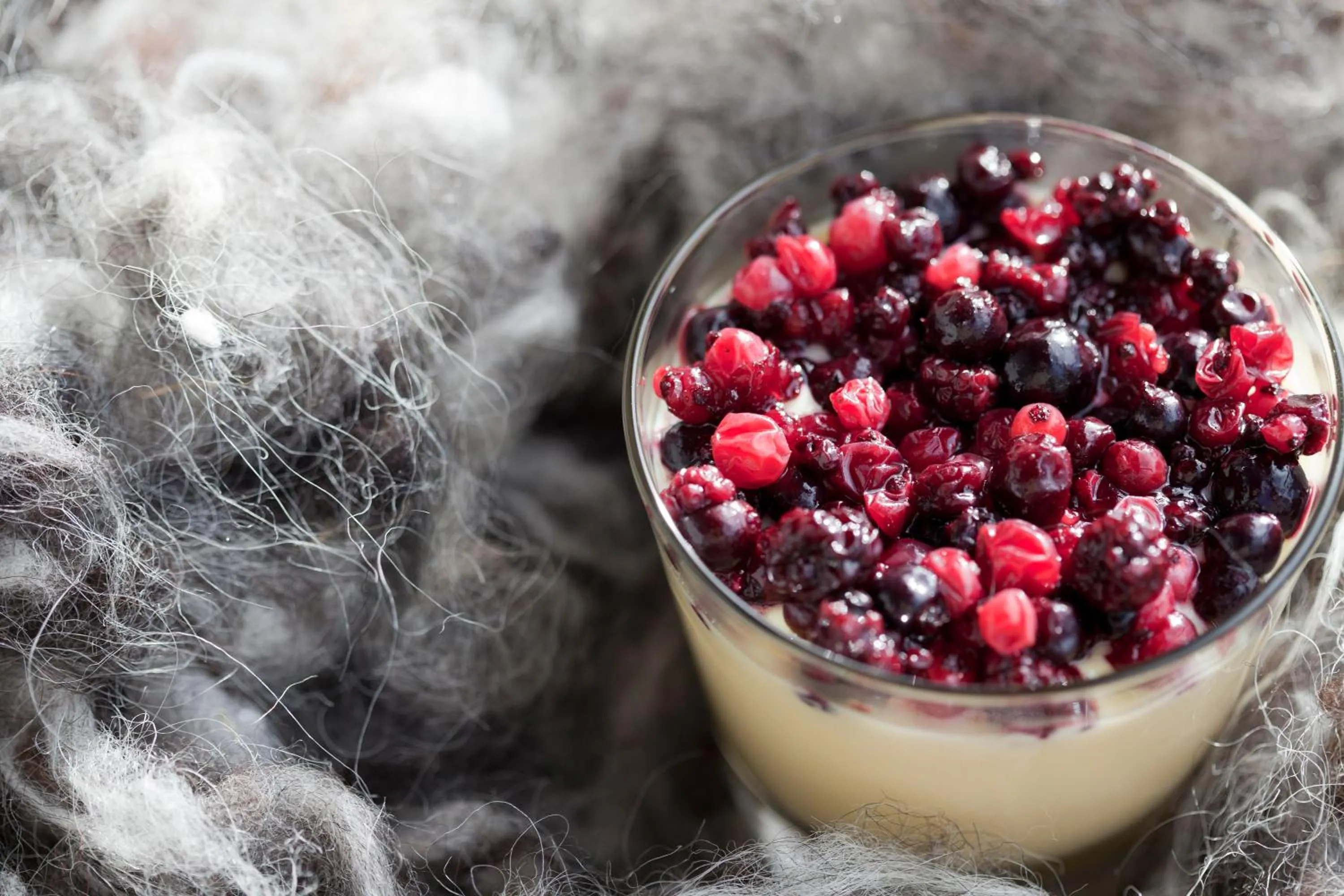 Food close-up in Chalet Svizzero