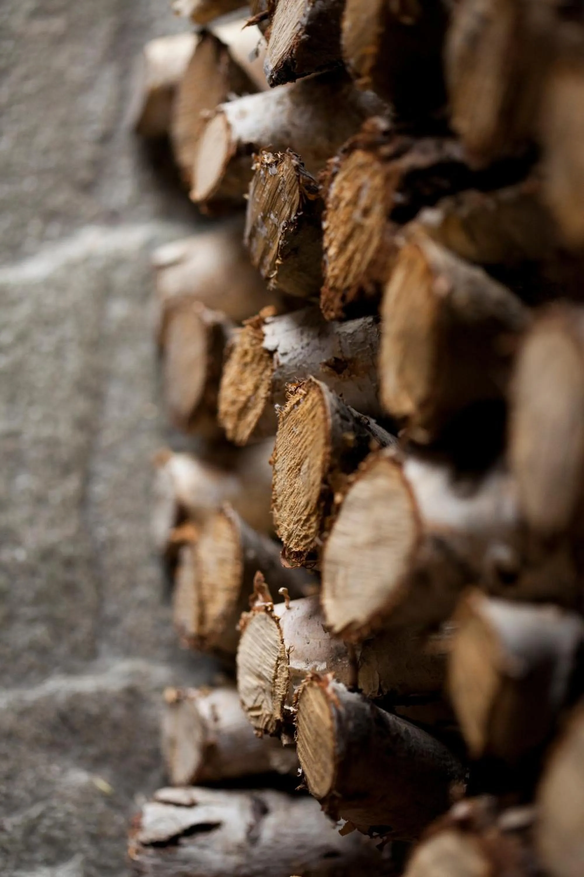 Facade/entrance in Chalet Svizzero