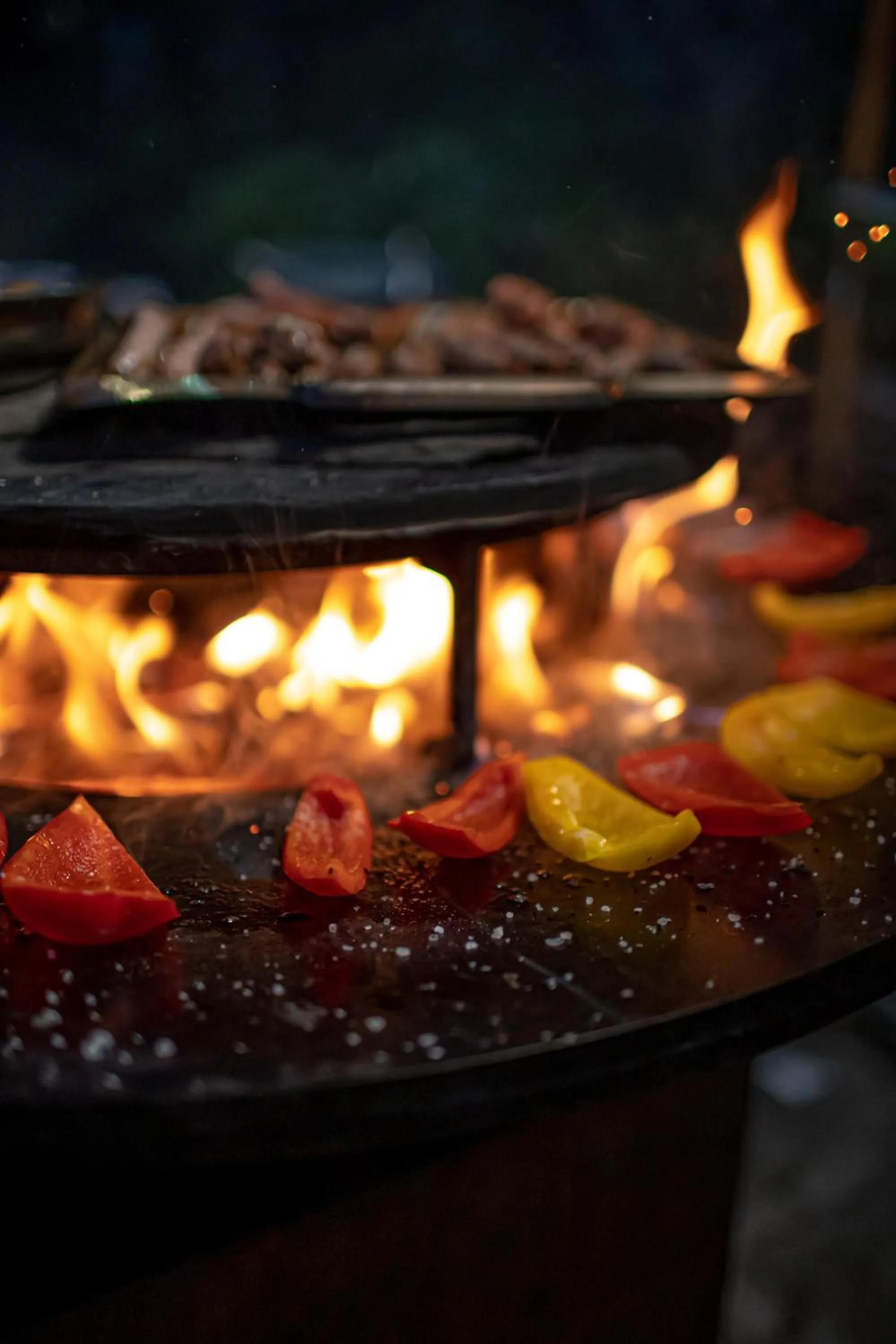 Garden in Chalet Svizzero