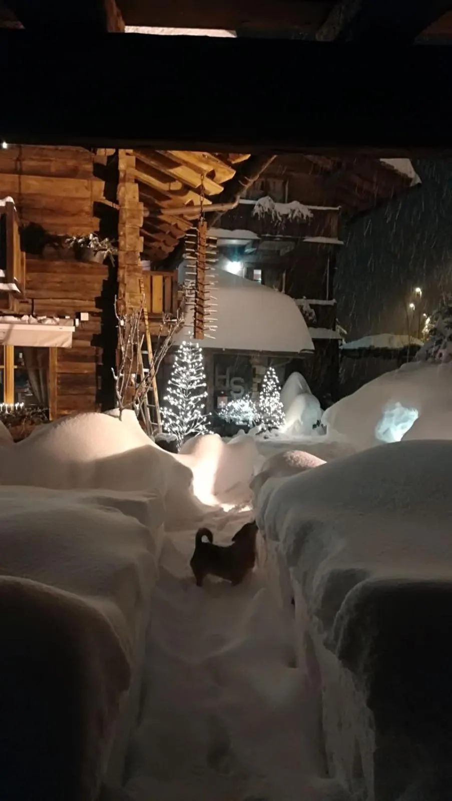 Staff in Chalet Svizzero