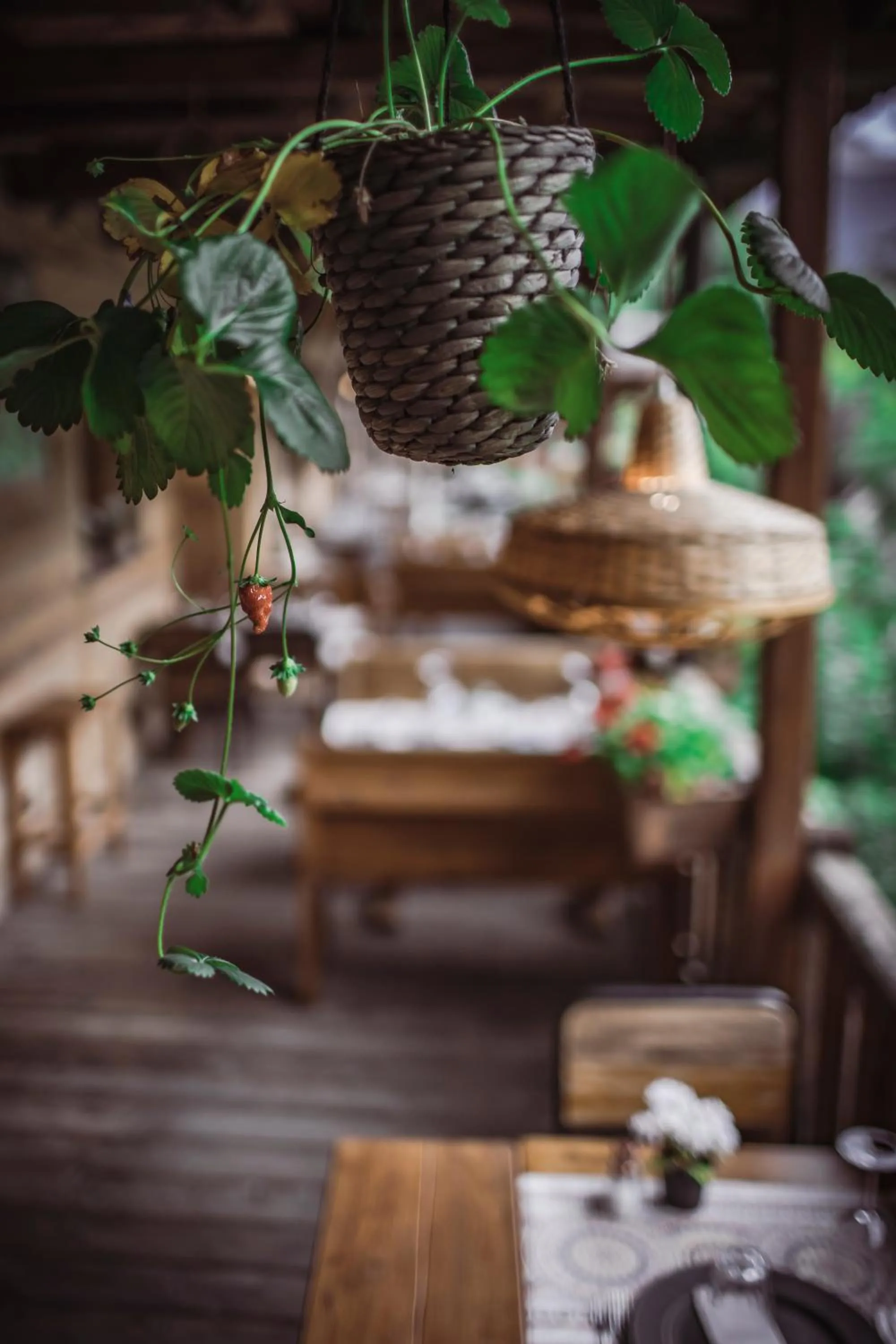 Restaurant/places to eat in Chalet Svizzero