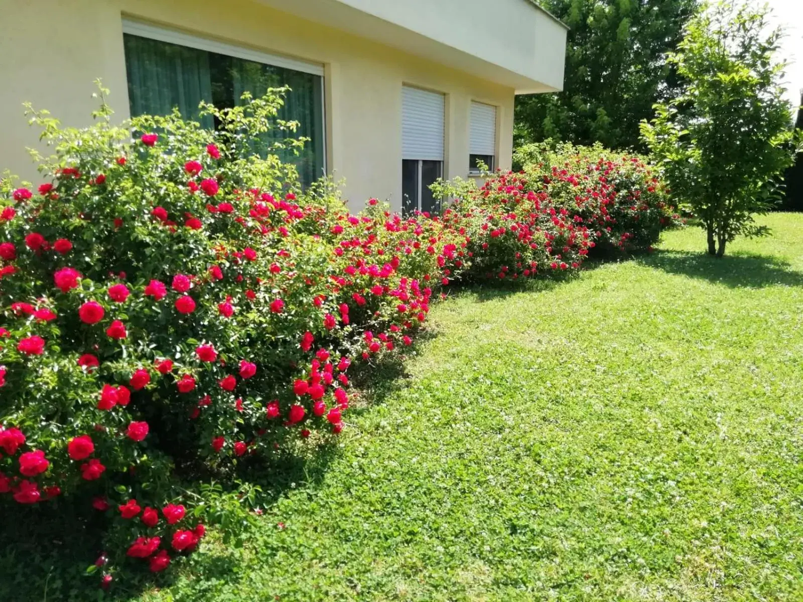 B&B Terra del Sole B&B Terra del Sole