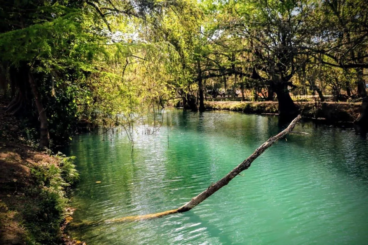 Hotel y Restaurante EL TEXANO