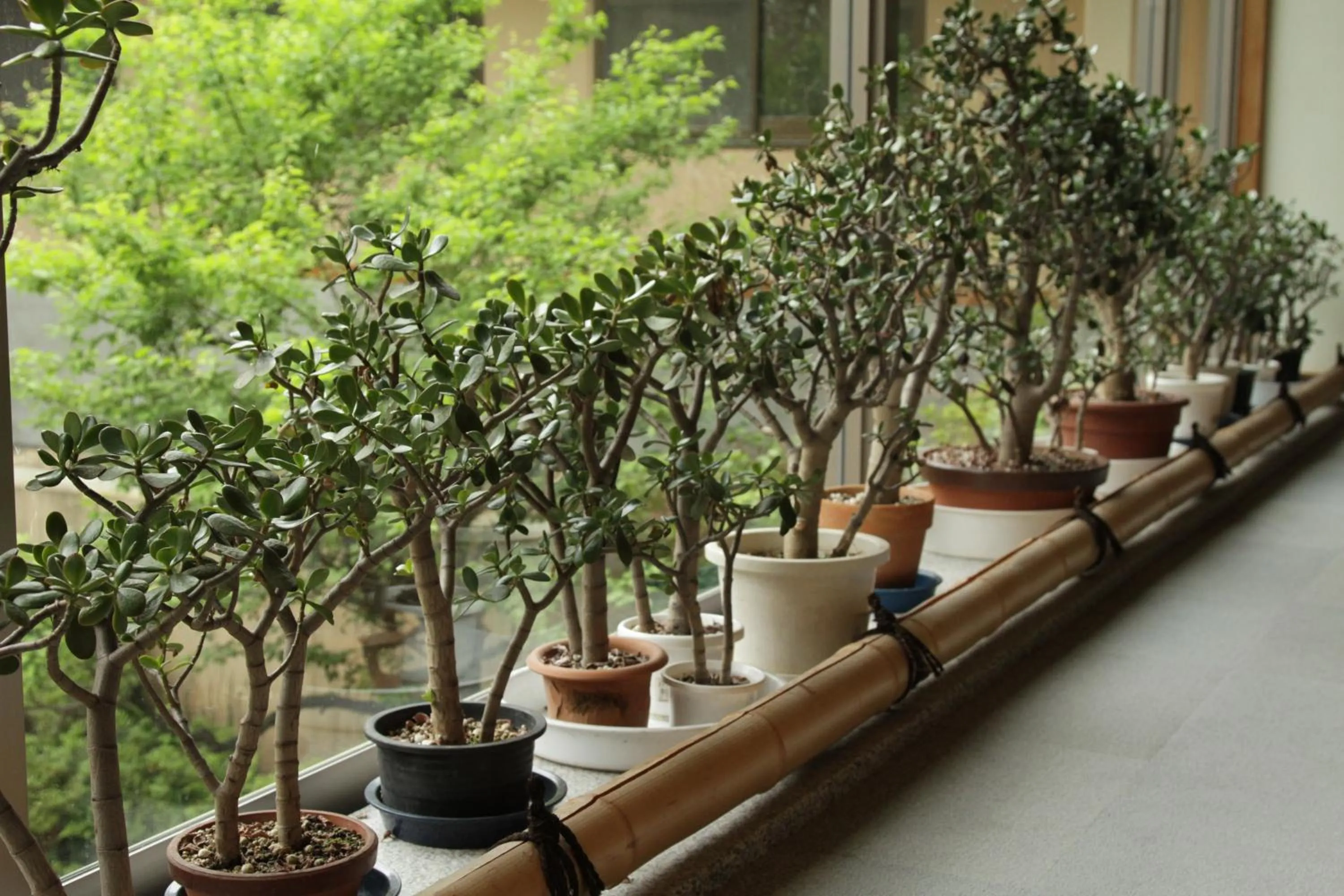 Decorative detail in Yamabiko